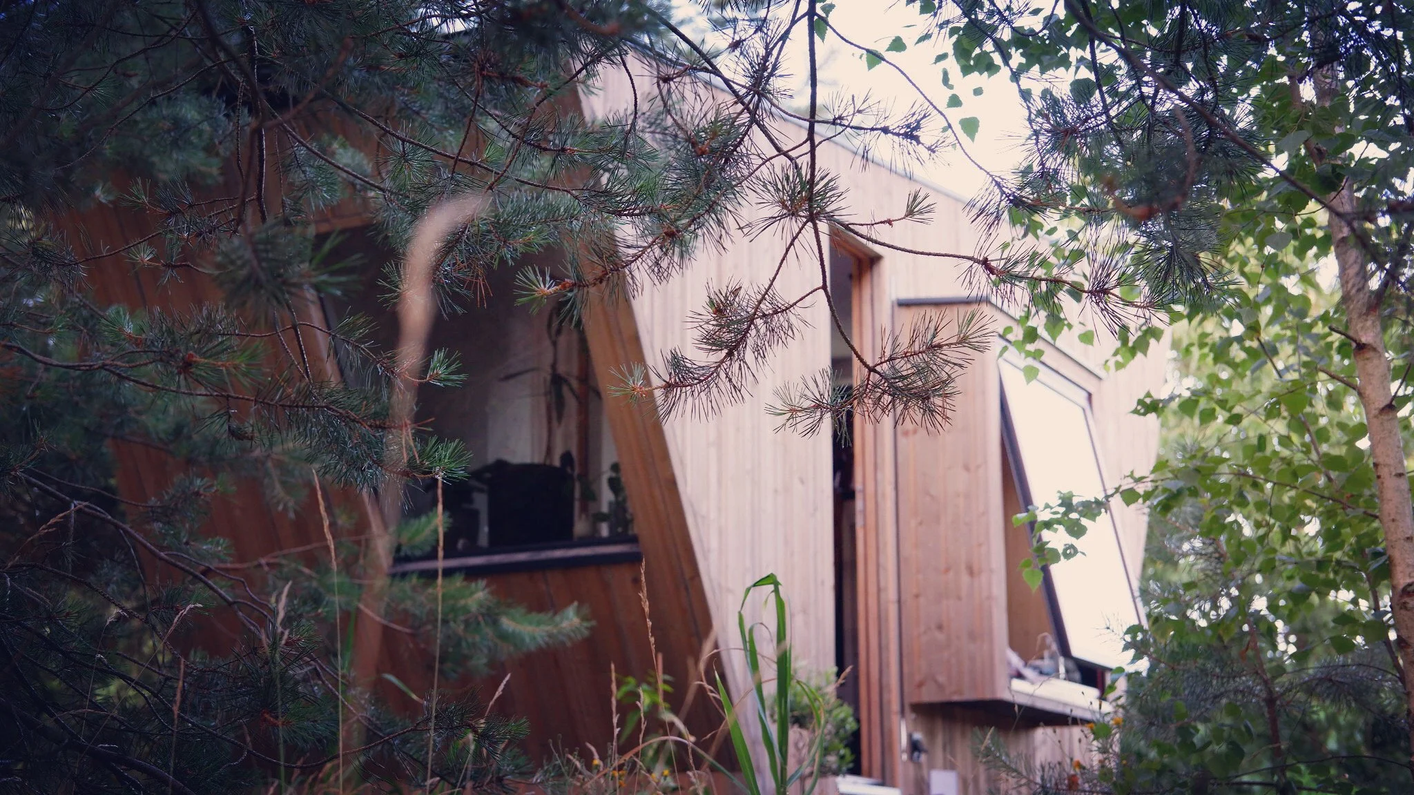 Ein Holzhaus, umgeben von Bäumen und Pflanzern, mit einer offenen Tür im Hintergrund.