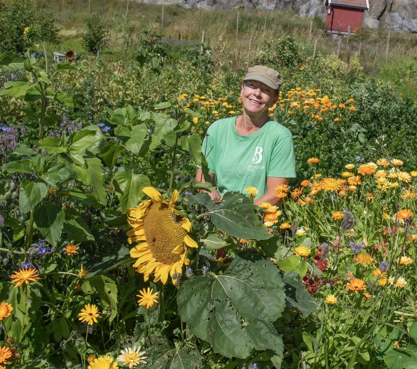 Elin i bugnende åker.jpg