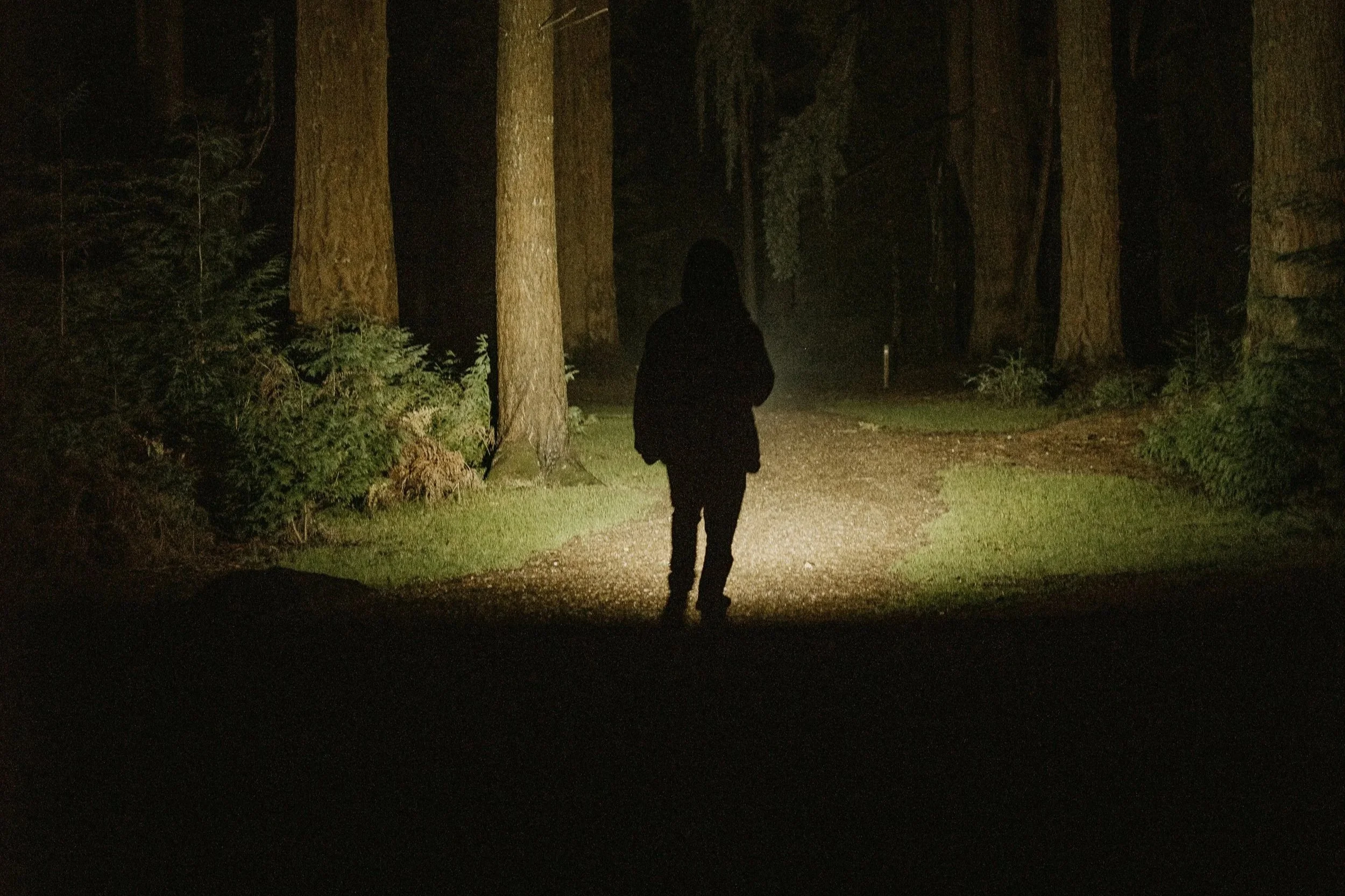 Returning with Light