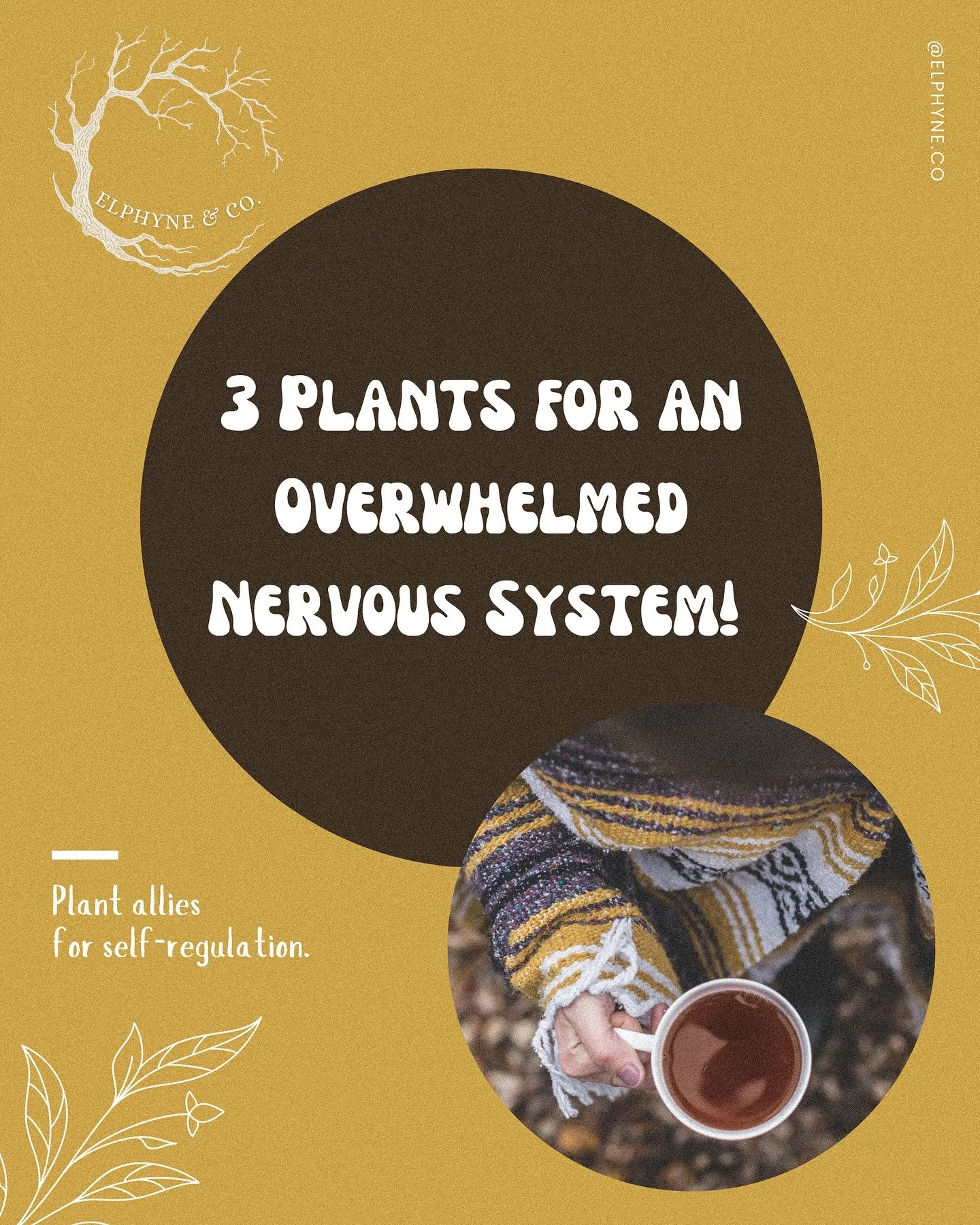 A little herbal self care ritual for the overwhelmed, anxious yet high functioning faeries out there. 🧚🏼&zwj;♀️🧚🏼🧚🏼&zwj;♂️

Save this post for later ;)