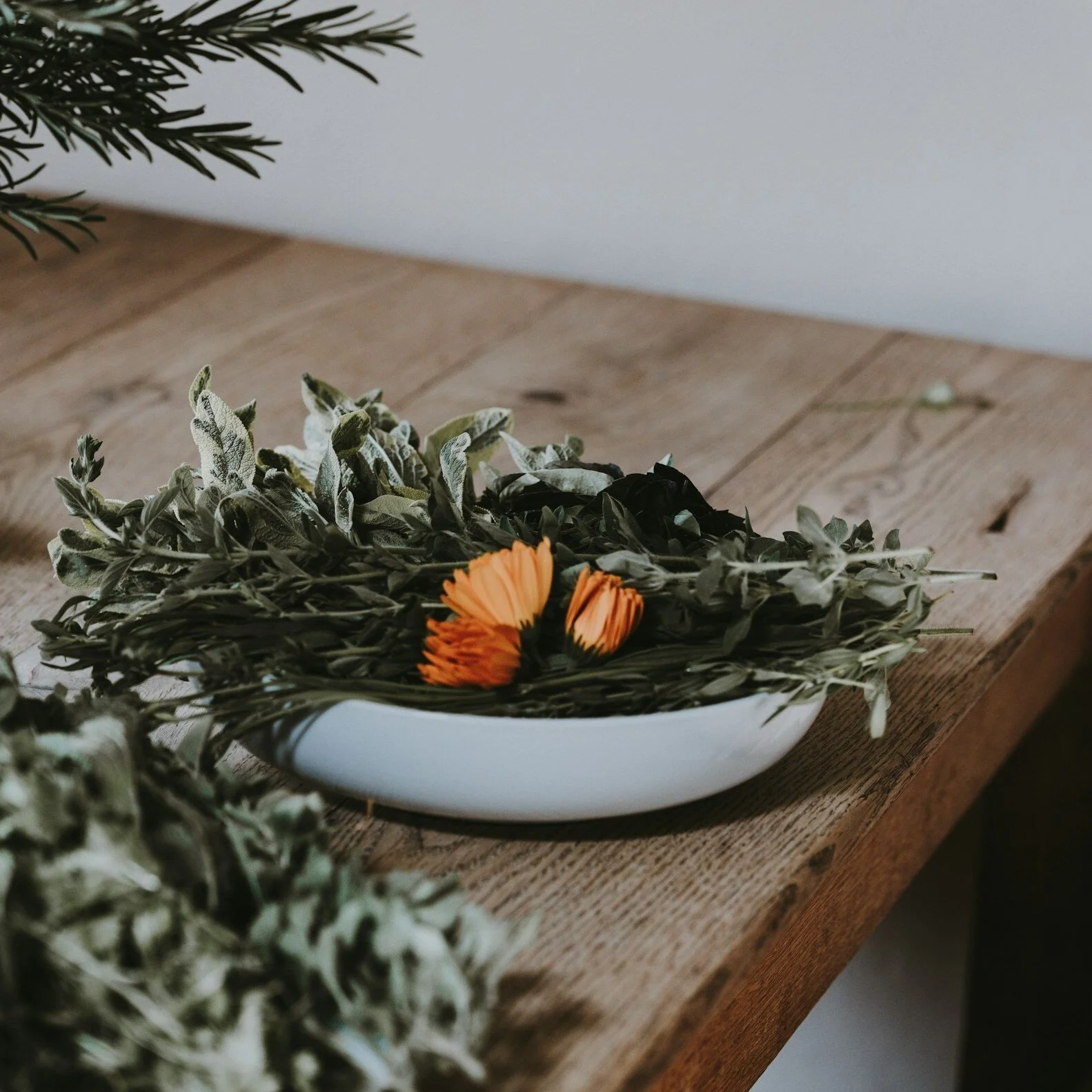 A white plate with green herbs and an orange flower on a wooden table.