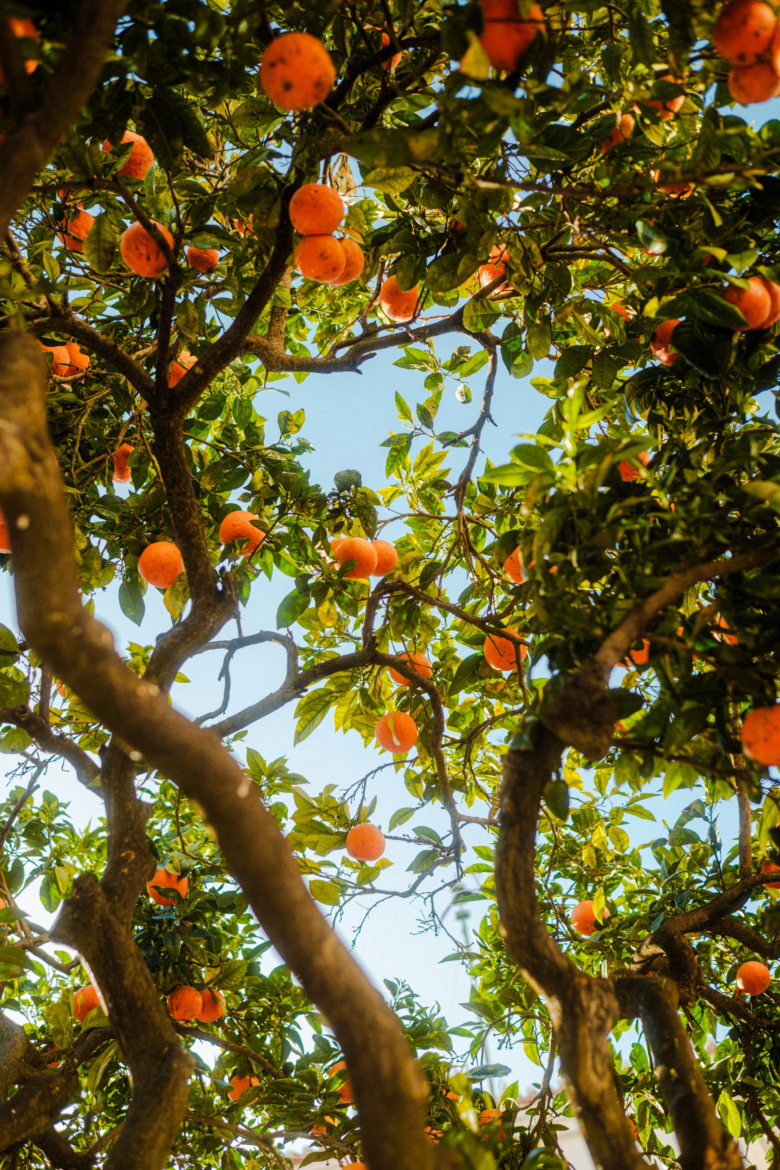 260214, Portugal-84.jpg