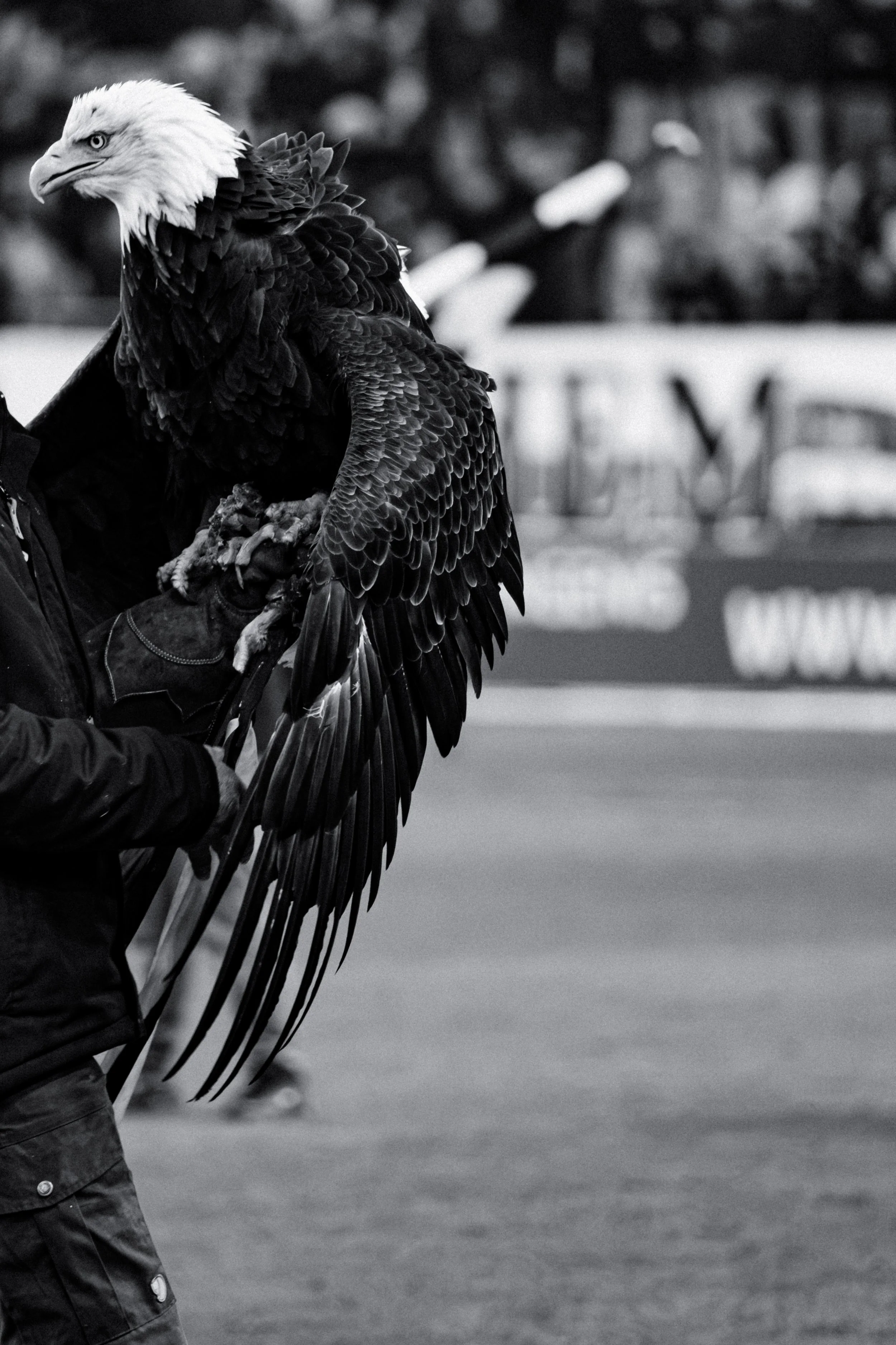 260202, Vitesse - FC Eindhoven-34.jpg