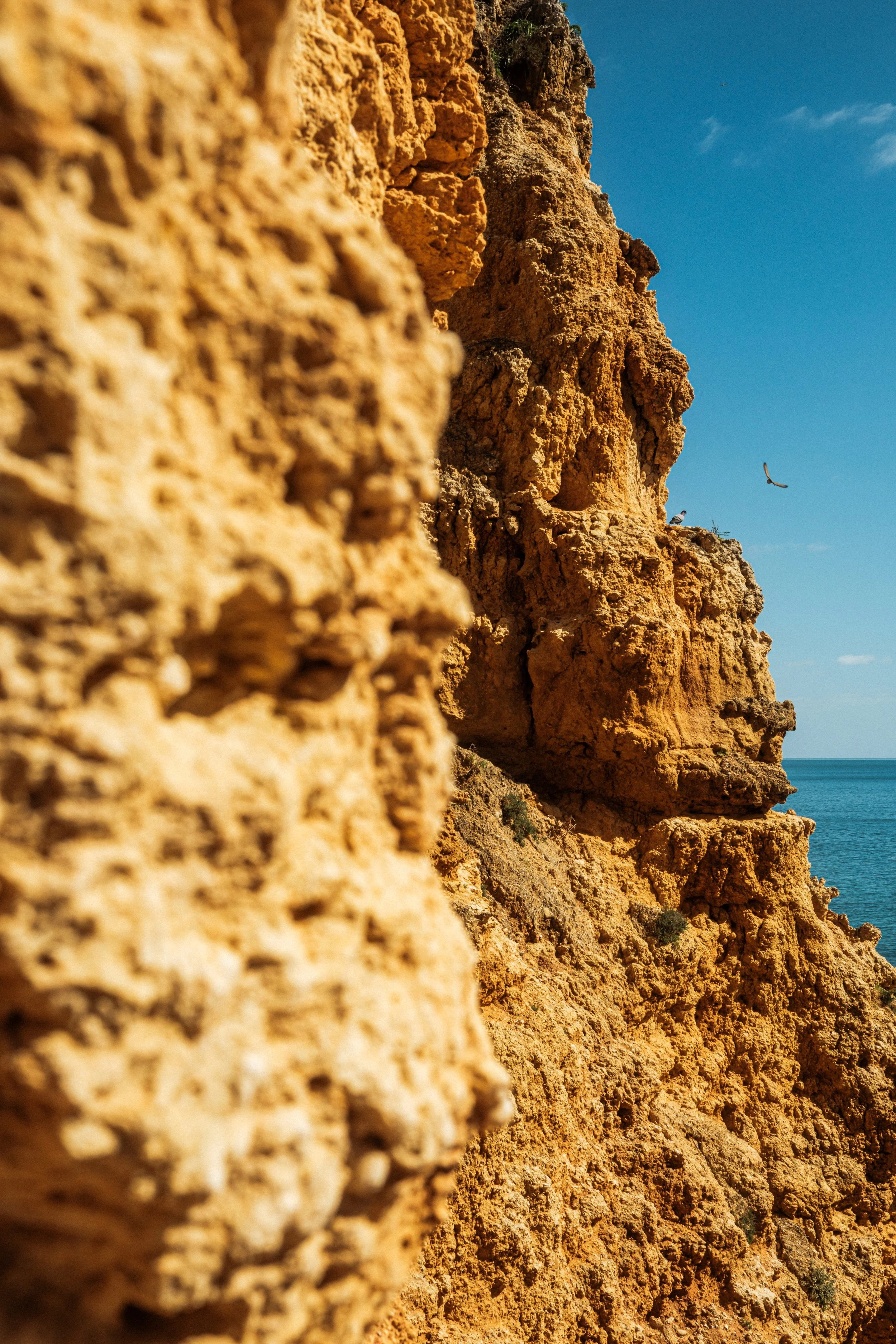 260214, Portugal-65.jpg