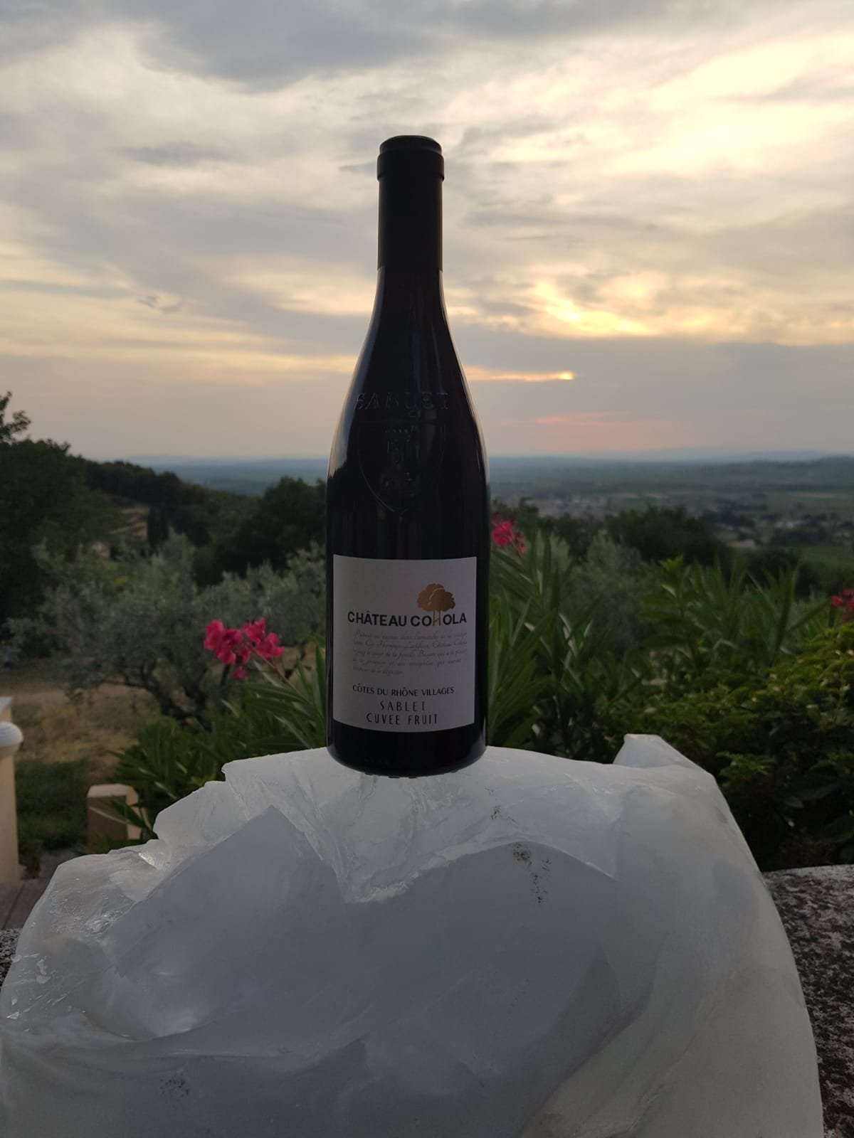 Bouteille sur la glace