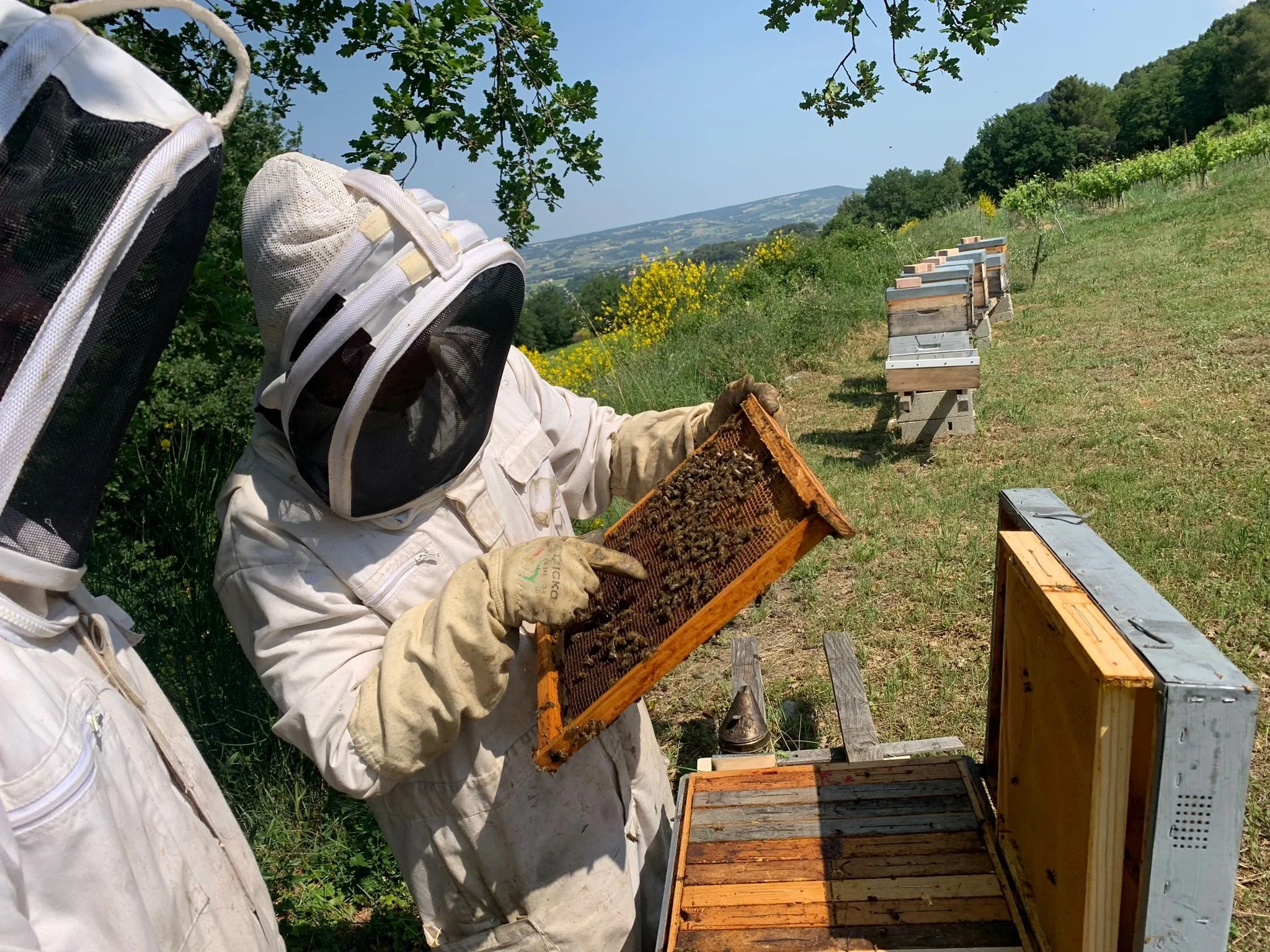 WhatsApp Image 2023-08-25 at 16.44.00.jpeg