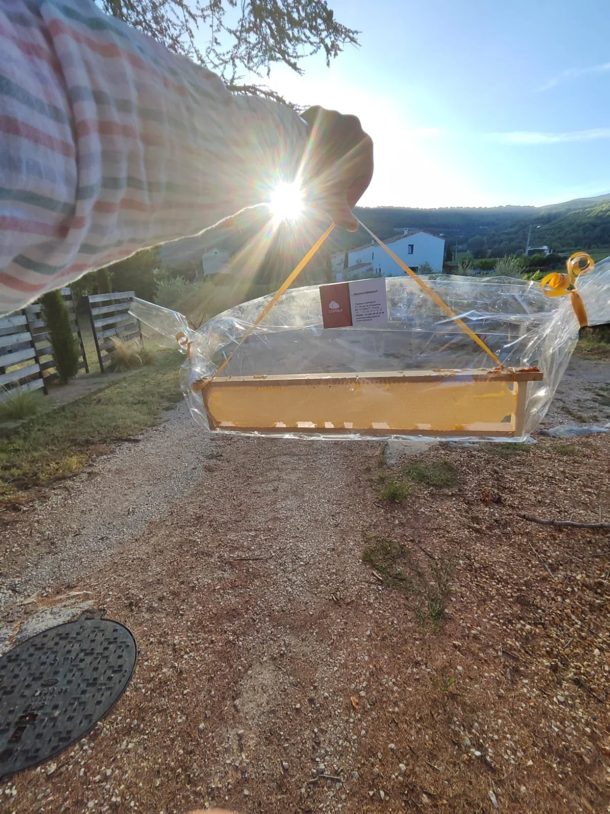 WhatsApp Image 2023-09-01 at 10.08.44.jpeg