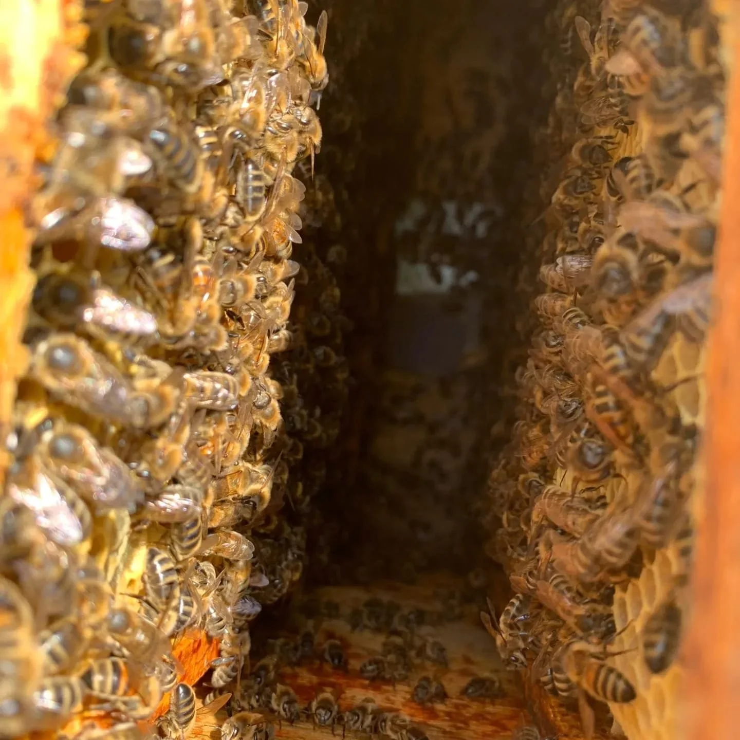 WhatsApp Image 2023-07-13 at 15.02.41.jpeg