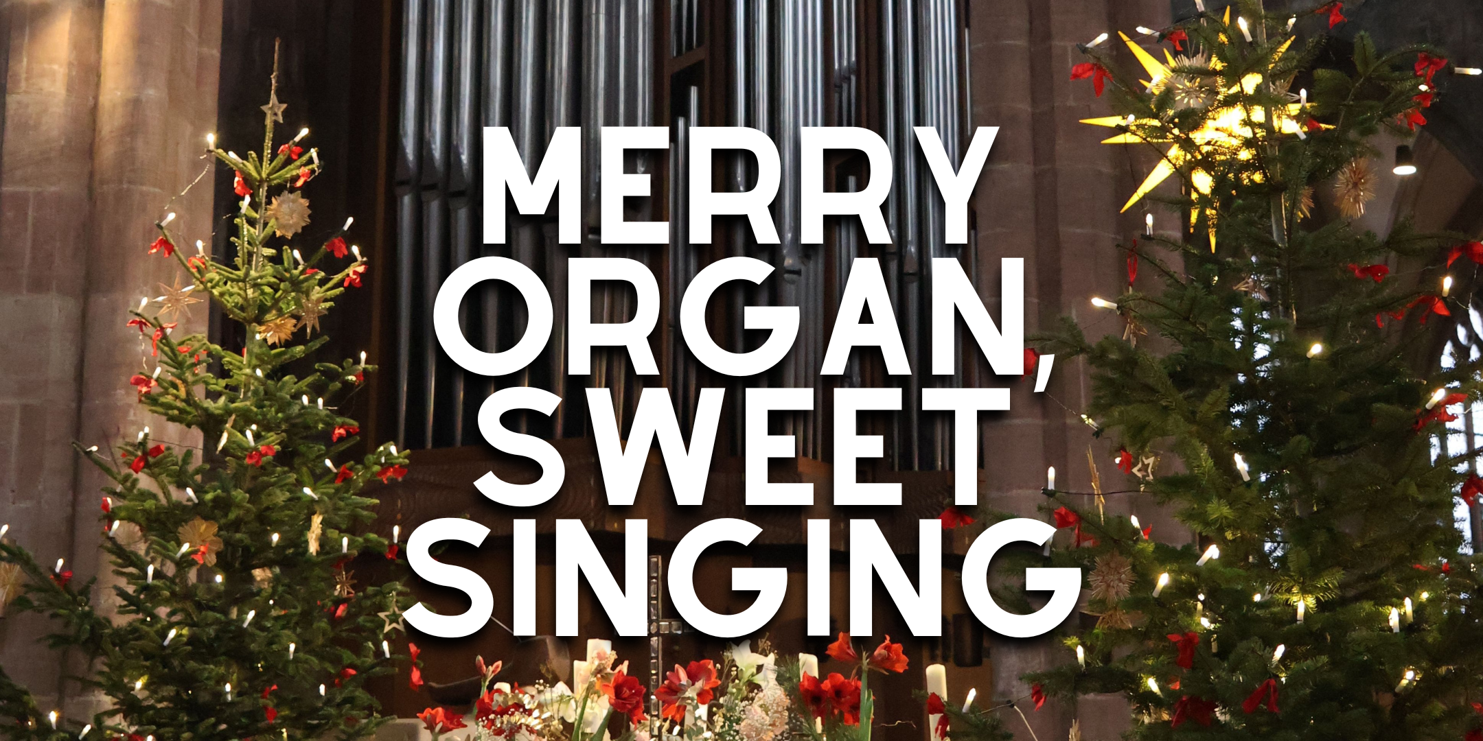 A scene showing decorated Christmas treeeswith the words Merry Organ, Sweet Singing in white