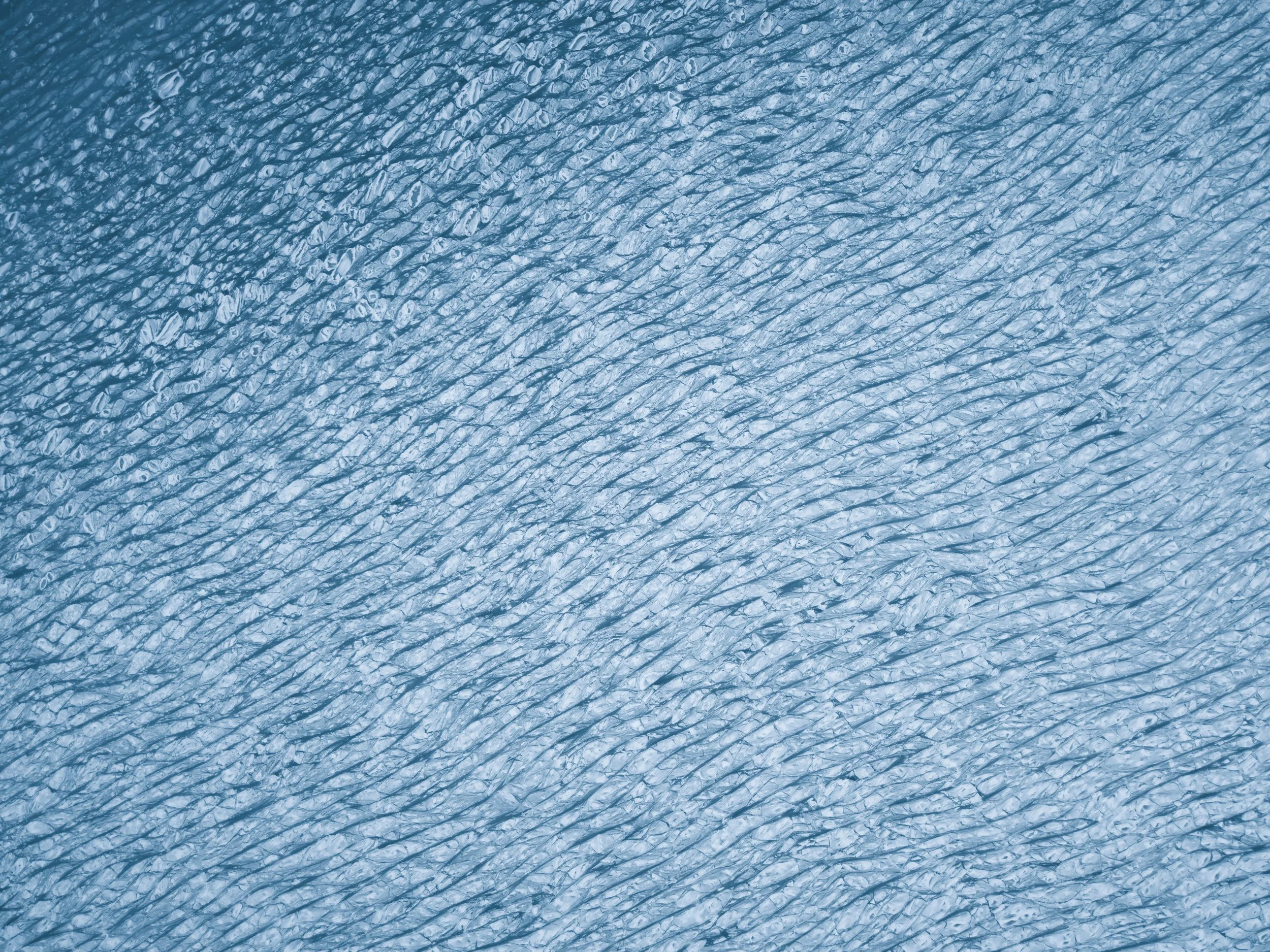 Frozen_Ostsee_Gradient.jpeg