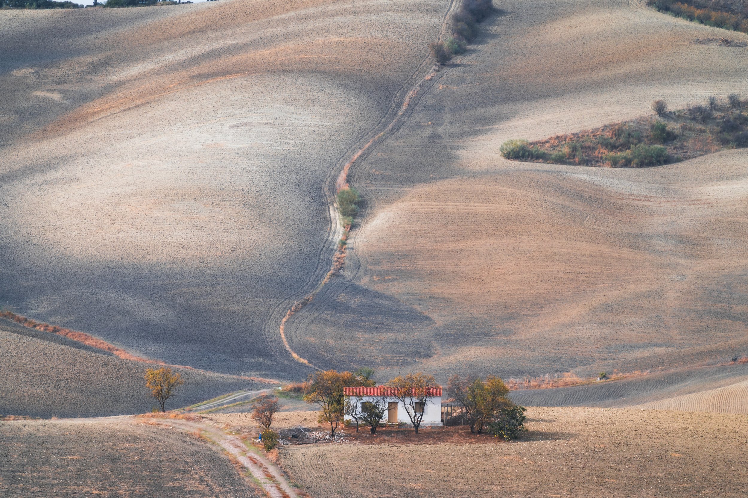 DSC_0650.jpg