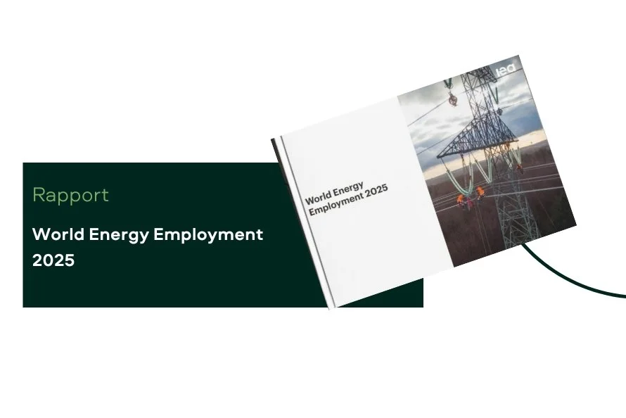 Emploi &amp; énergie&nbsp;: rapport World Energy Employment (WEE)