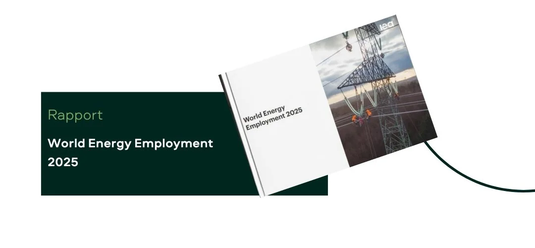 Rapport World Energy Employment 2025