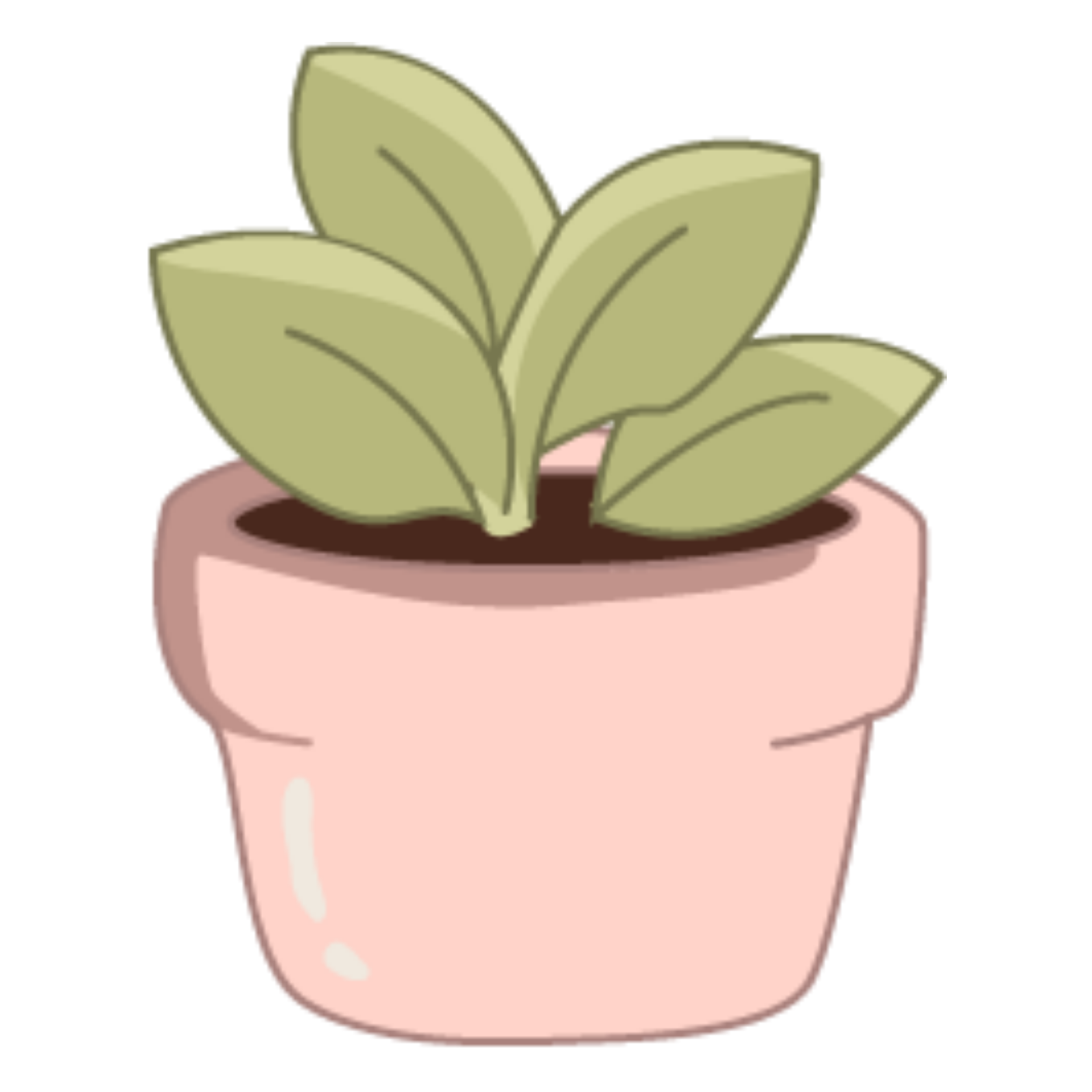 A potted plant with broad, light green leaves in a pink pot.