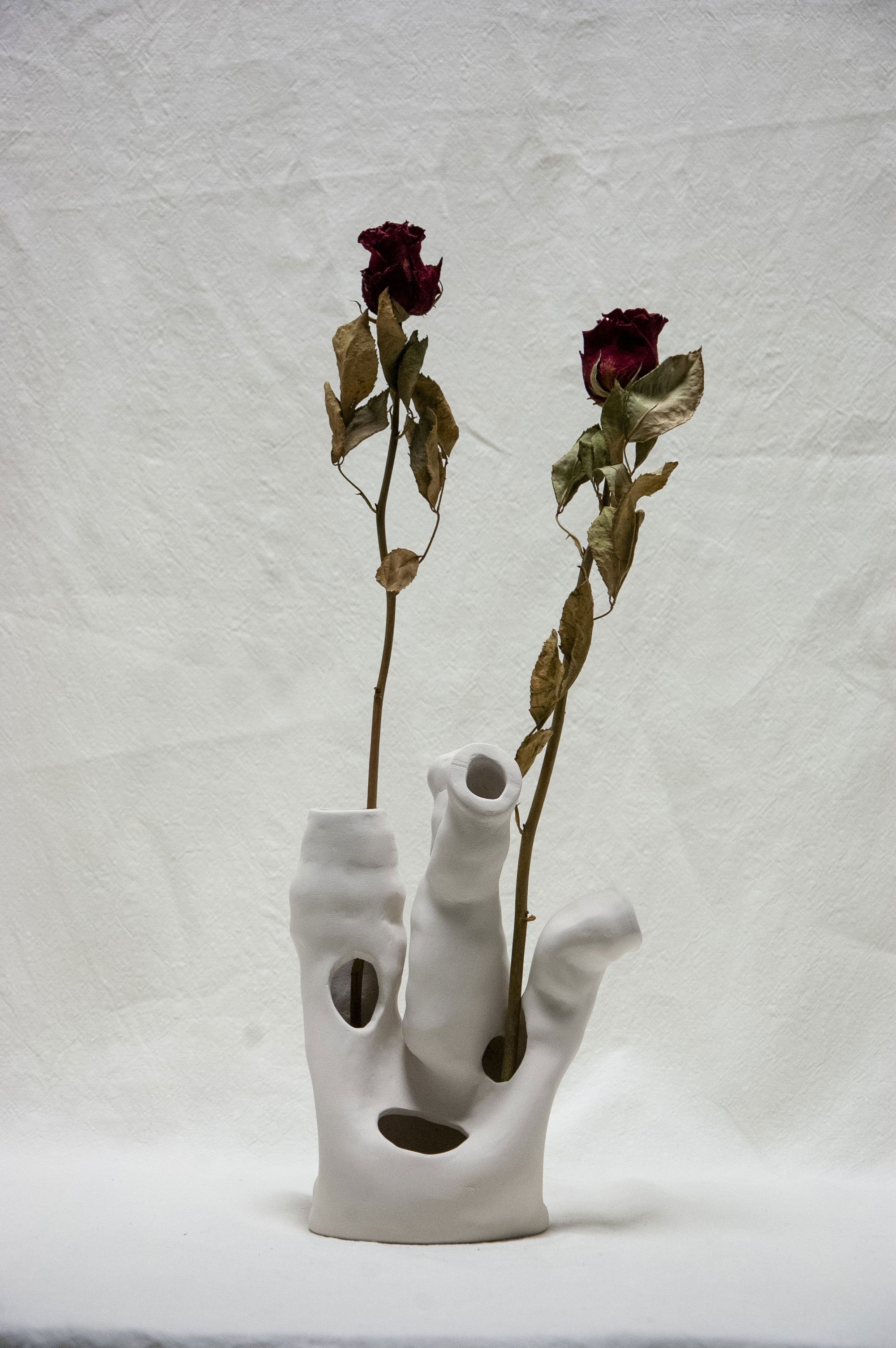 Scultura "Coral bi face #2", terra bianca, 2021