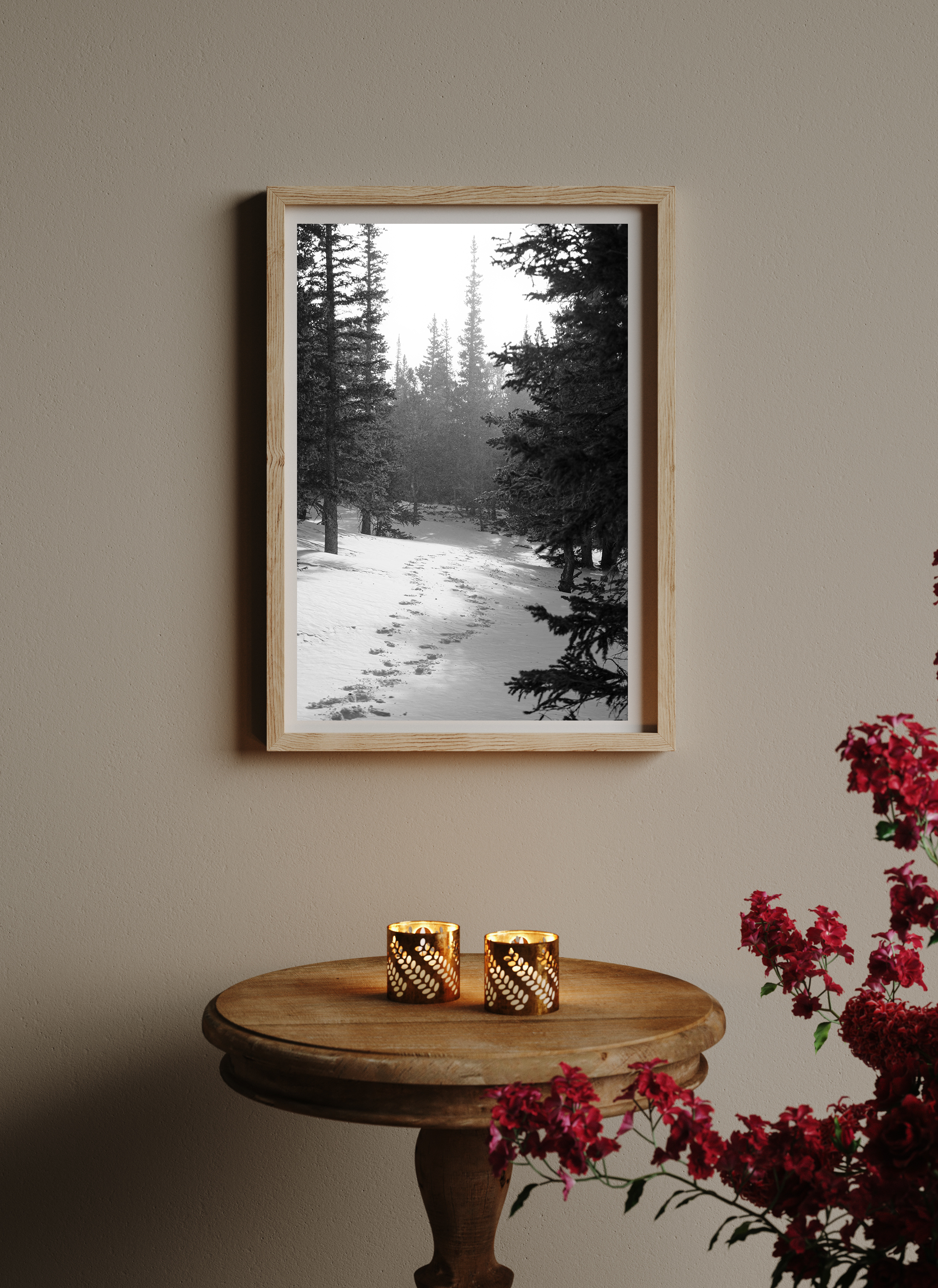 Snowy Path