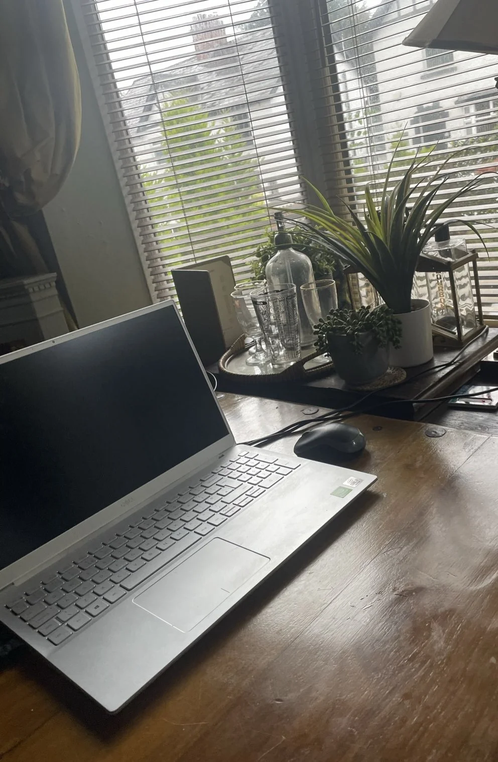 A home office desk with a silver laptop, a computer mouse, and various plants near a window with blinds.