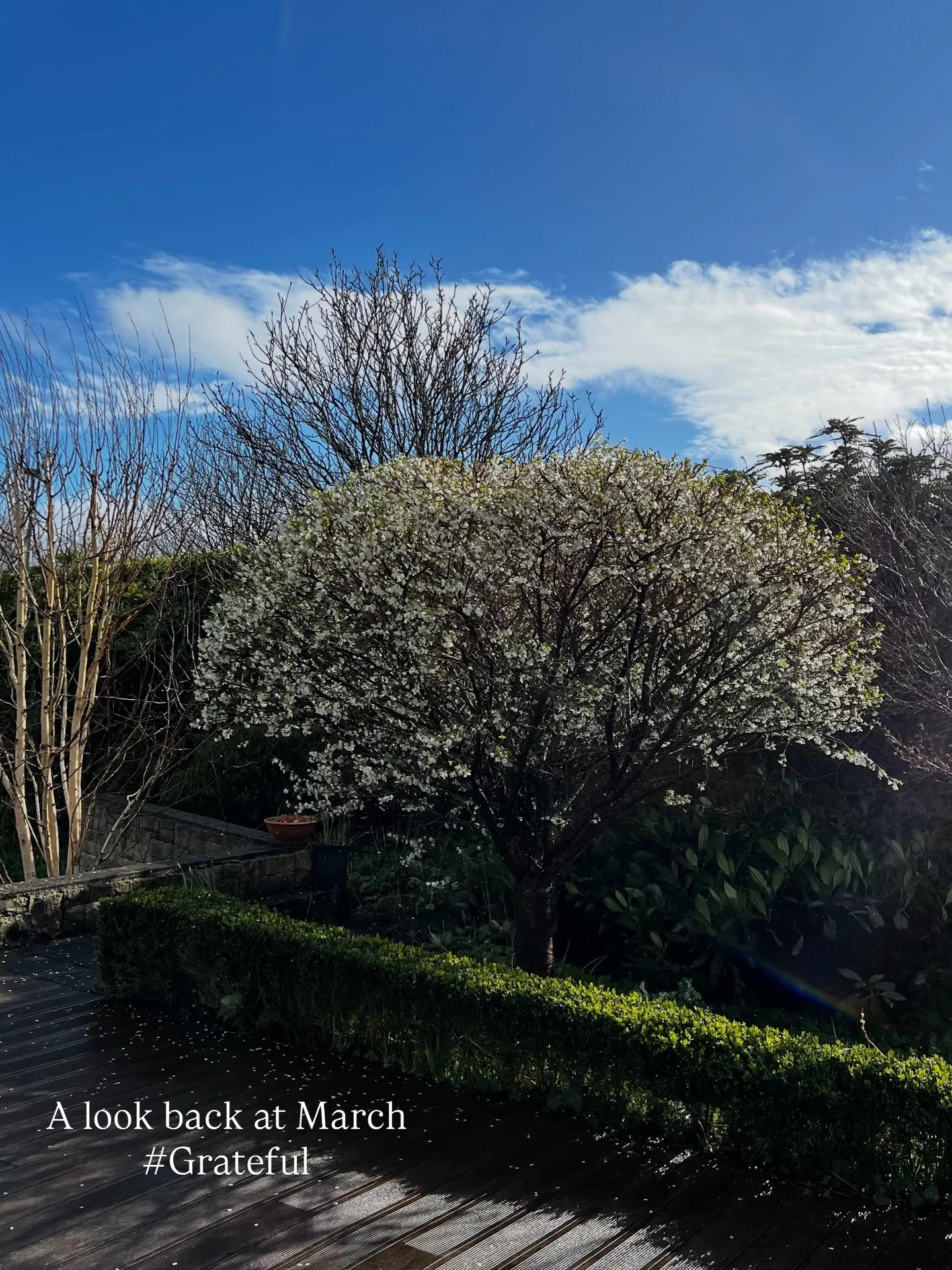 So much to be grateful for as I look back on March both personally &amp; professionally. 

From family gatherings &amp; celebrating my dad&rsquo;s birthday to Mother&rsquo;s Day, there&rsquo;s been a lot to be extremely grateful for. I try not to tak