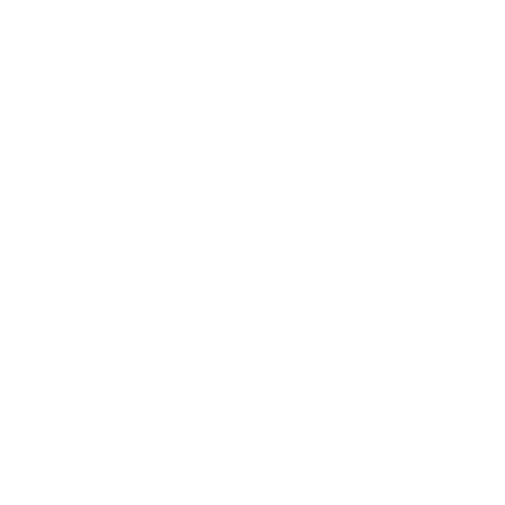 LOGO STEFANIA BOUTIQUE  (1).png
