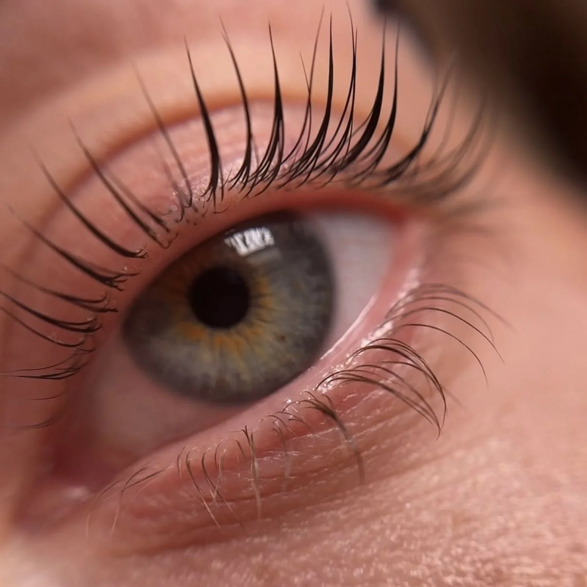 Close-up of a human eye with visible eyelashes and iris.