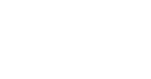 Shoe-sensation.png
