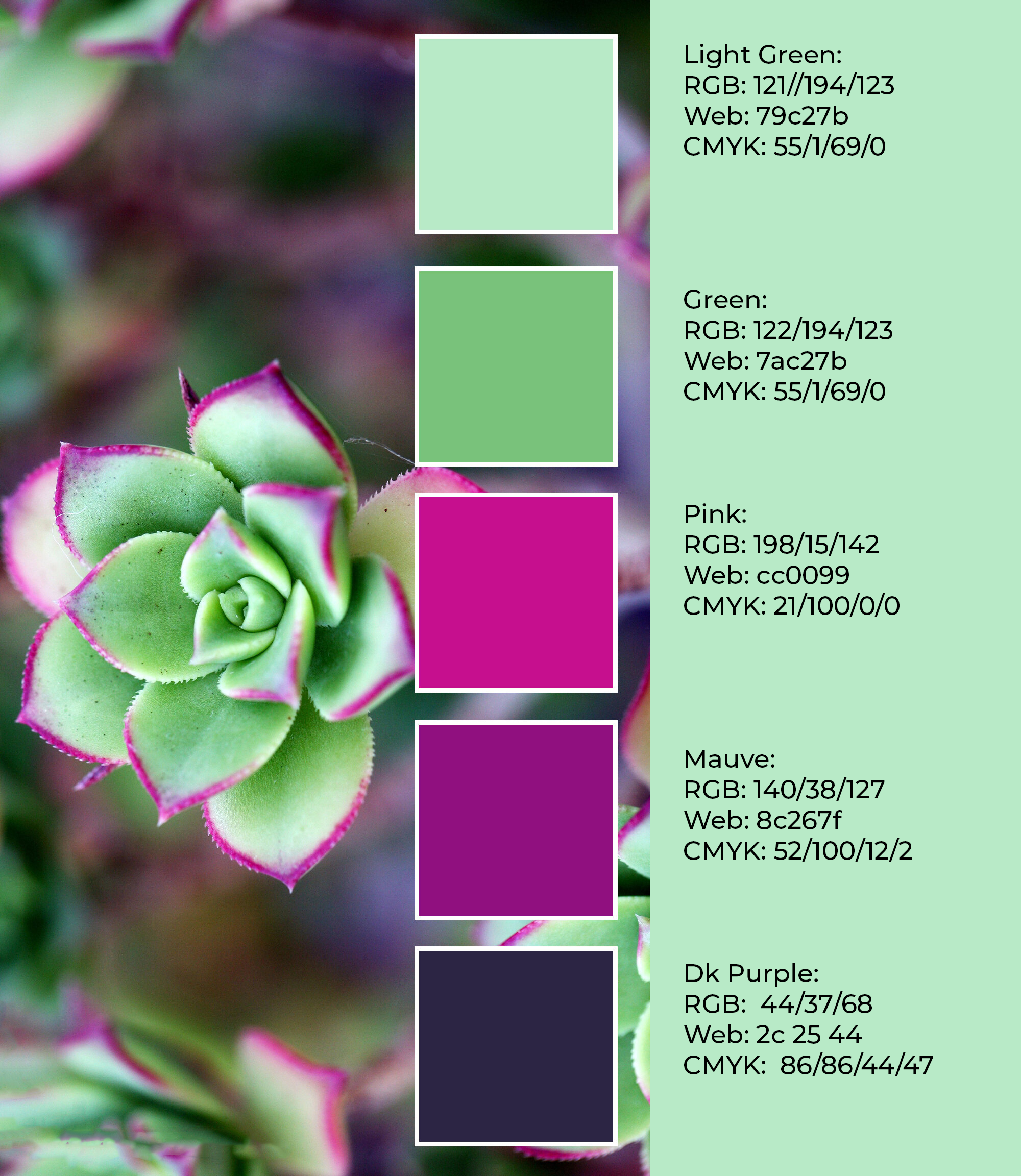 BrandColors.png