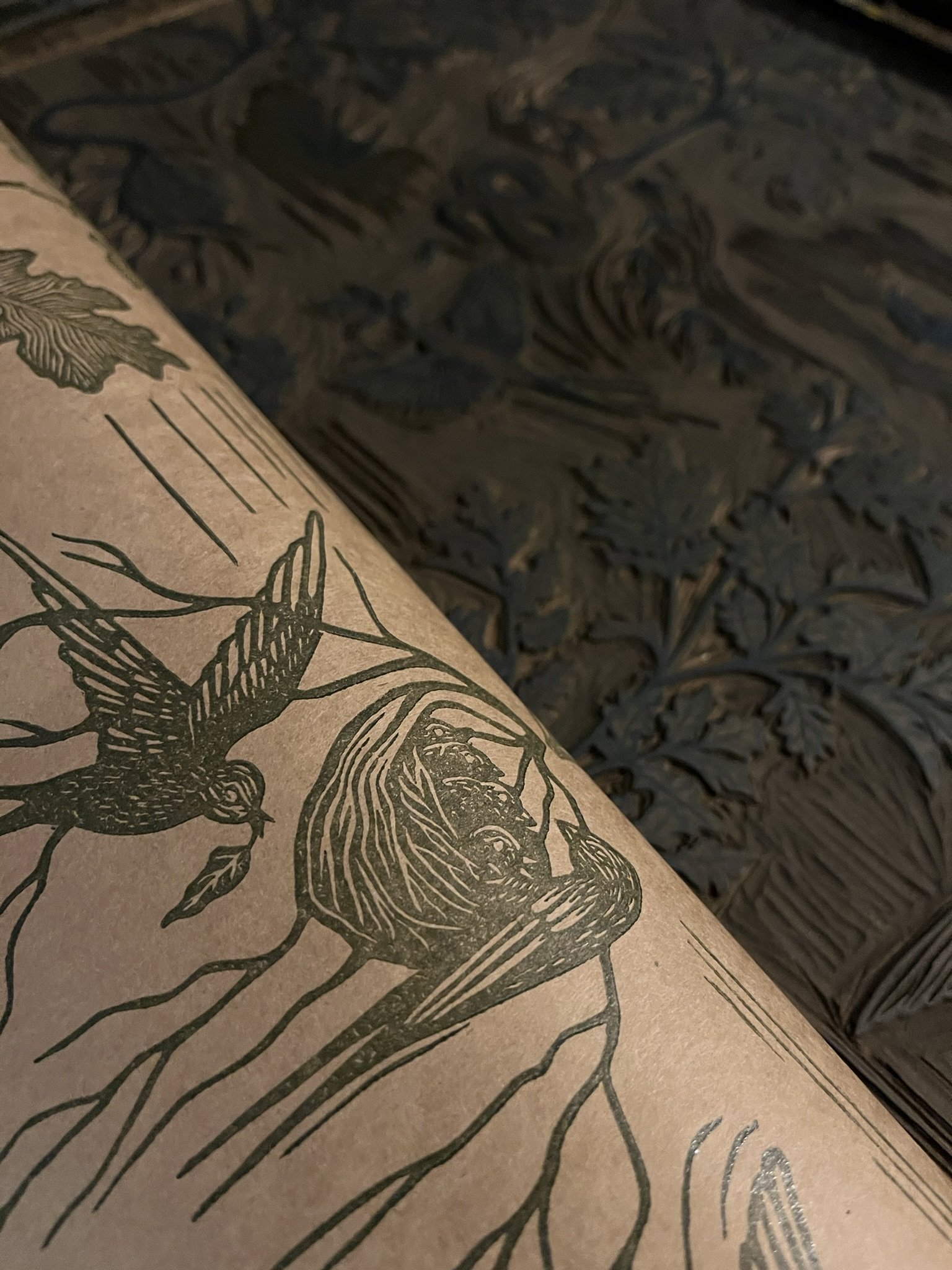 Close-up of a printed illustration of a mythical creature on brown paper, with a dark intricately carved wooden background.