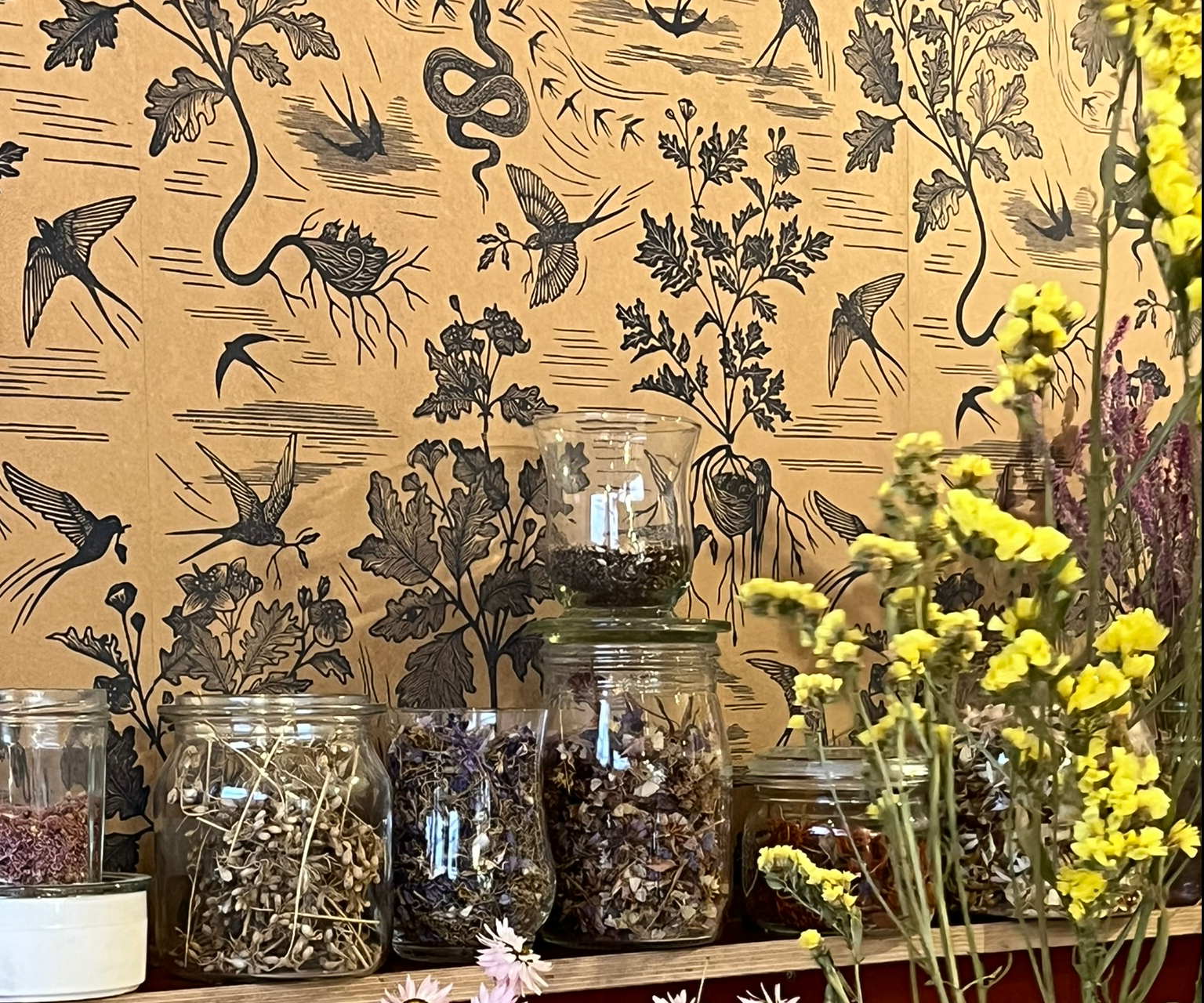 Collection of glass jars and containers filled with dried herbs and flowers, with fresh yellow flowers on the right, set against a beige background with black botanical and bird illustrations.