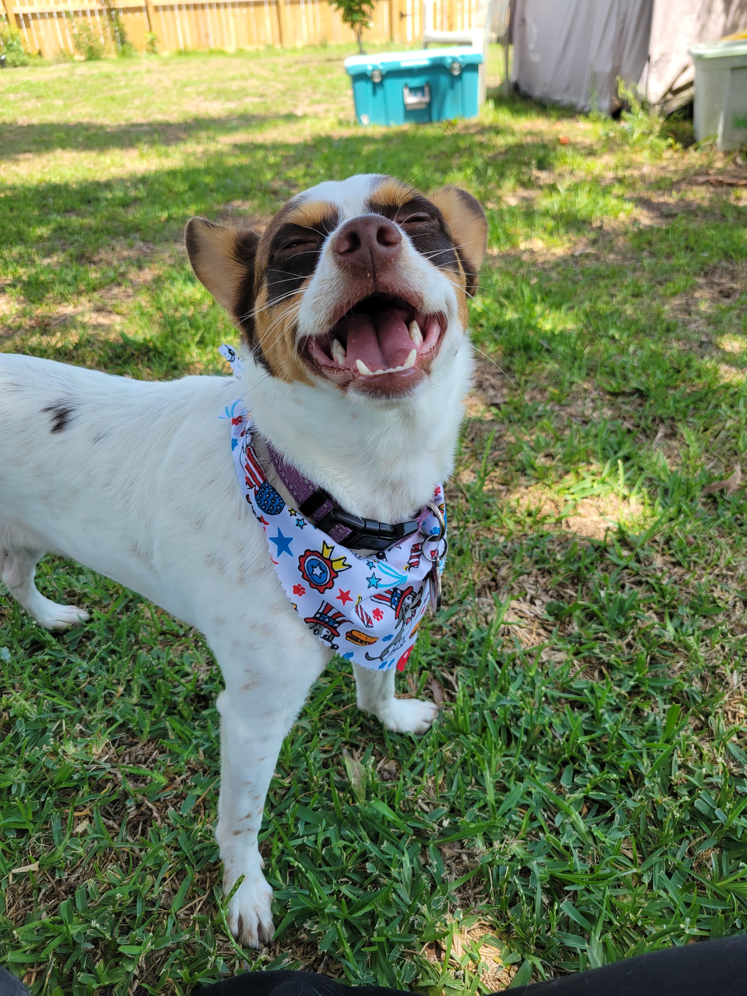 20260710_142508.jpg