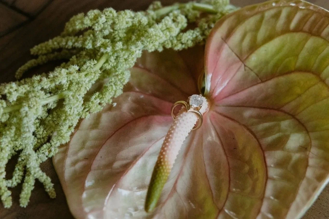 Hidden Grove Estate’s 2026 Wedding Trend Forecast