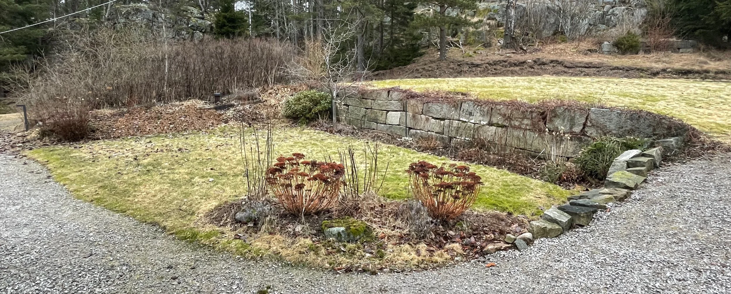 A landscaped garden with a gravel pathway, patches of grass, brown shrubs, and a stone retaining wall in the background surrounded by trees.