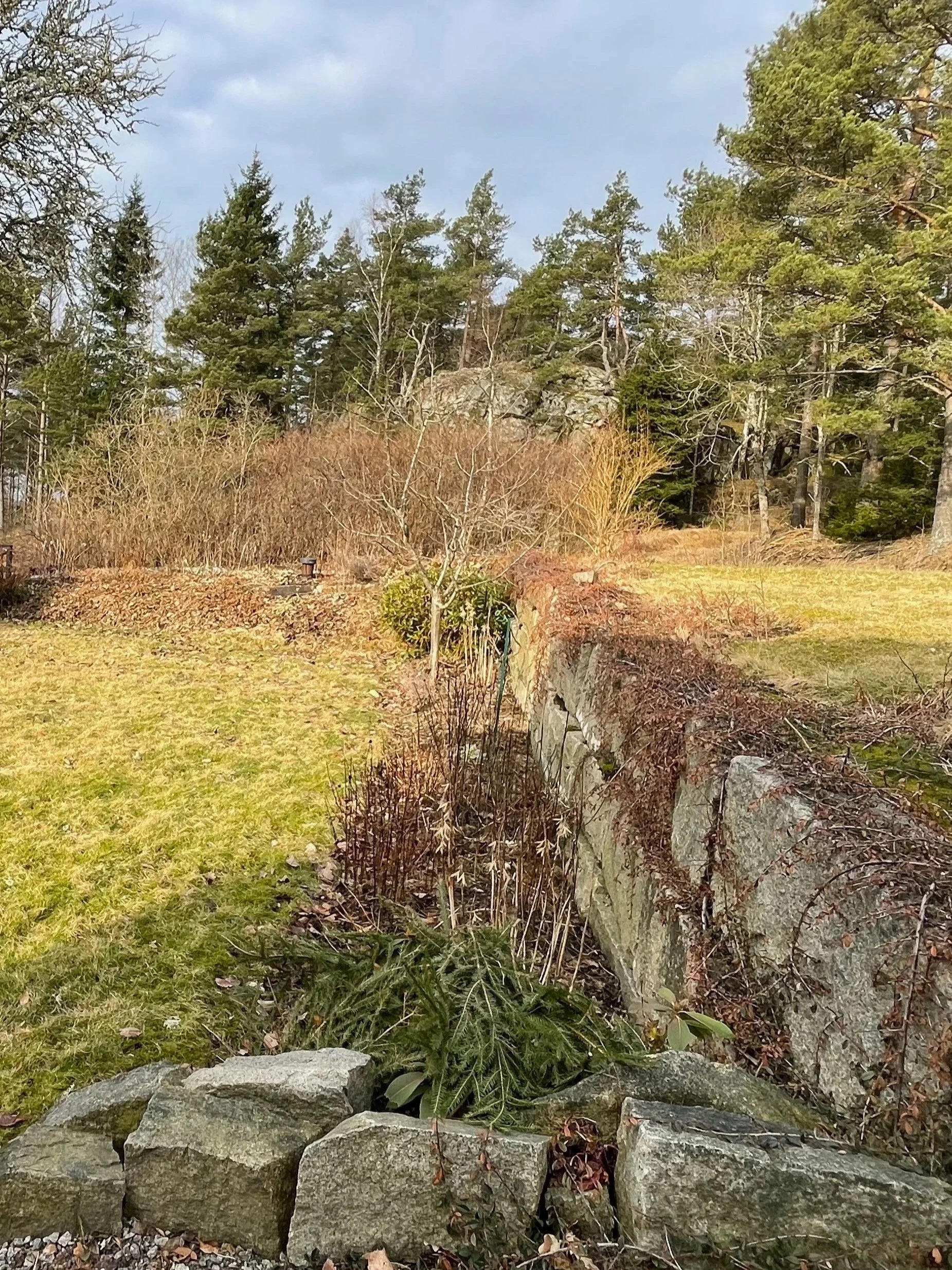 A garden scene with trees, bushes, and a stone wall in the foreground, with a cloudy sky in the background.