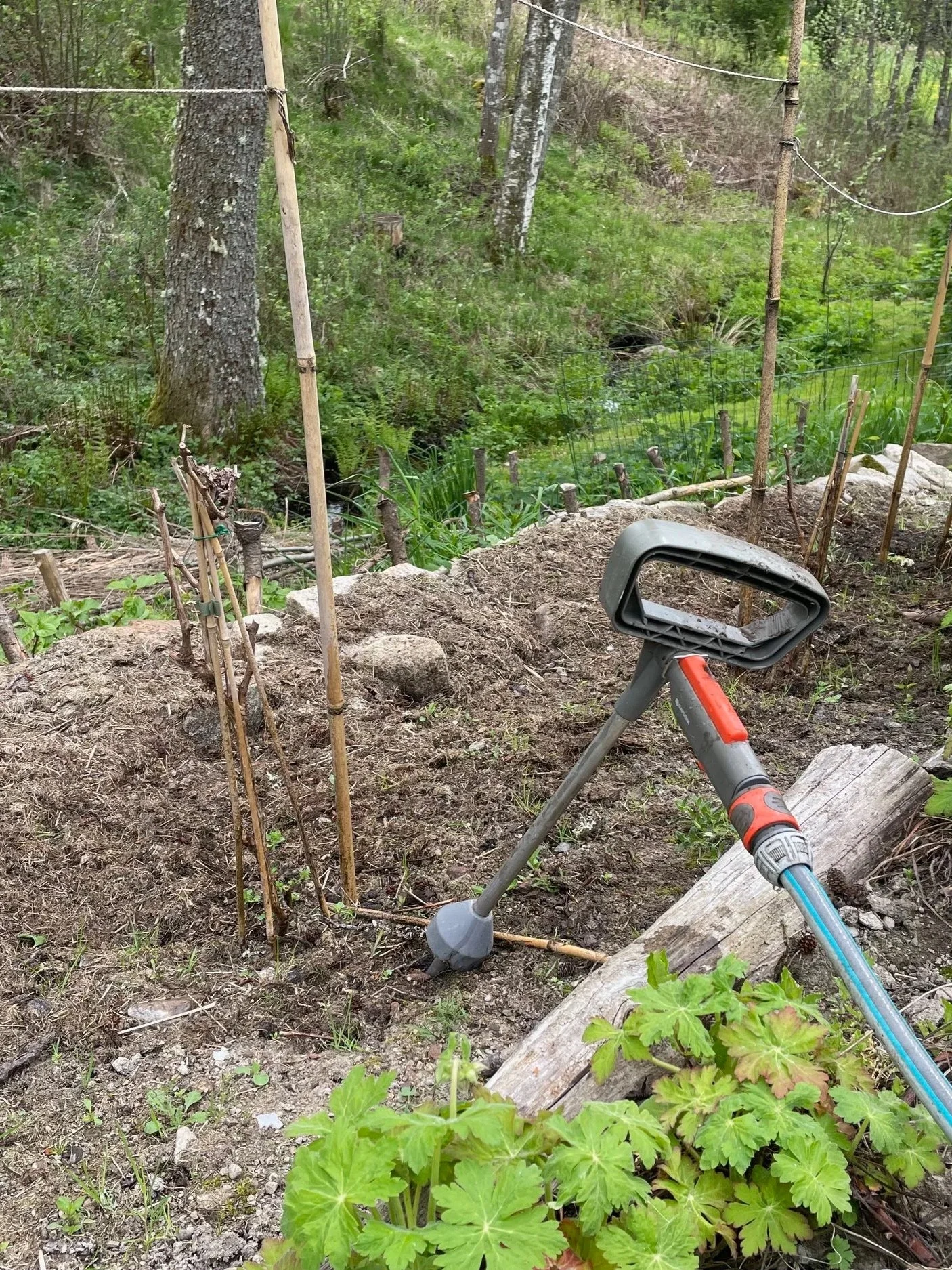 A garden area with plants and gardening tools, including watering equipment and plant stakes, surrounded by trees and greenery.