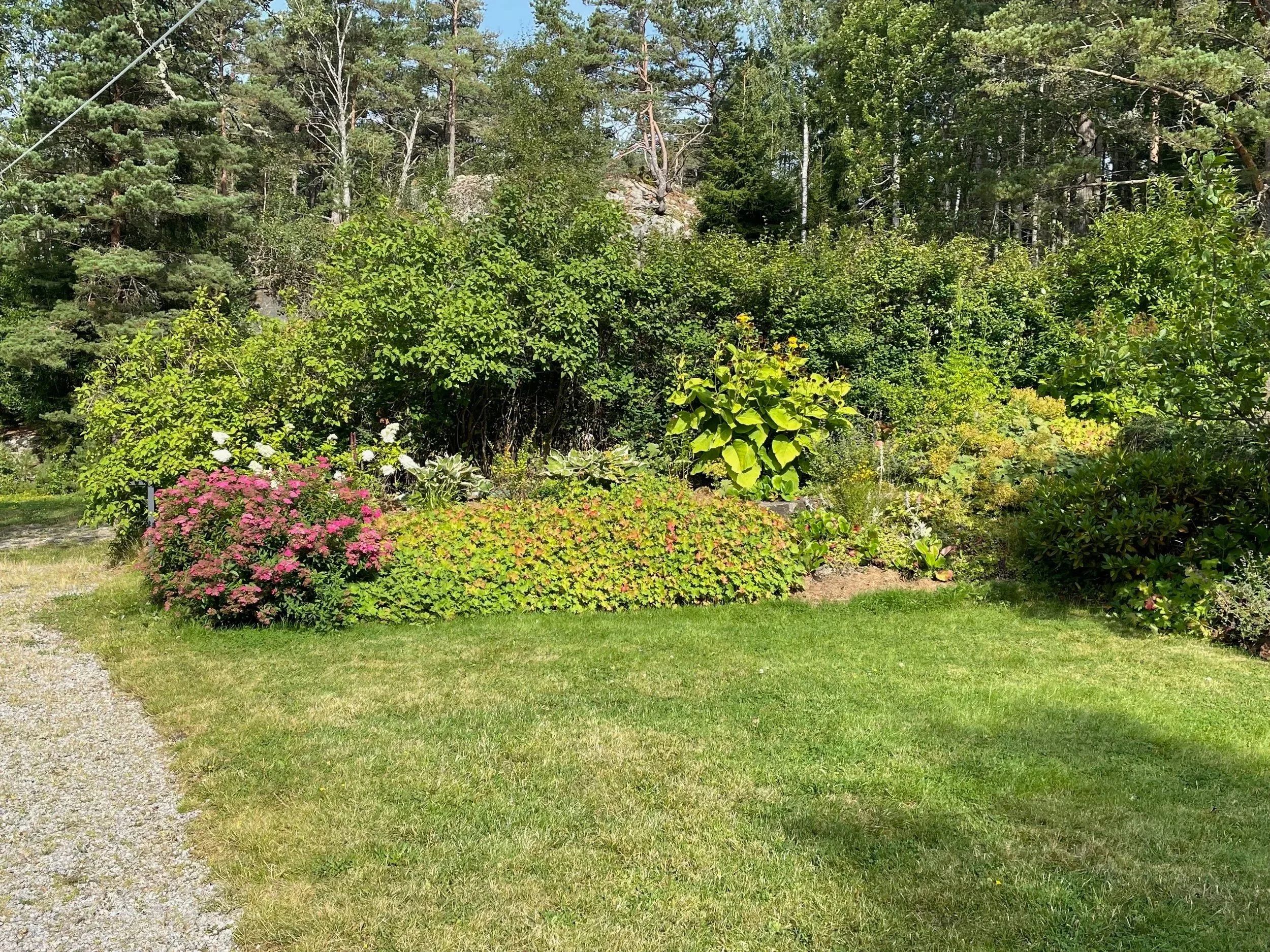 A lush garden with various green plants, trees, and shrubs. Pink flowers are blooming in the foreground, and a forested area with tall trees is in the background. The sky is clear with some clouds.