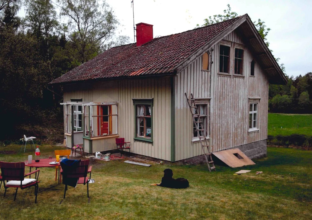 A two-story wooden house with a red roof, some windows, and a ladder leaning against the side, situated in a grassy yard with outdoor chairs, a table, and a dog lying on the grass.