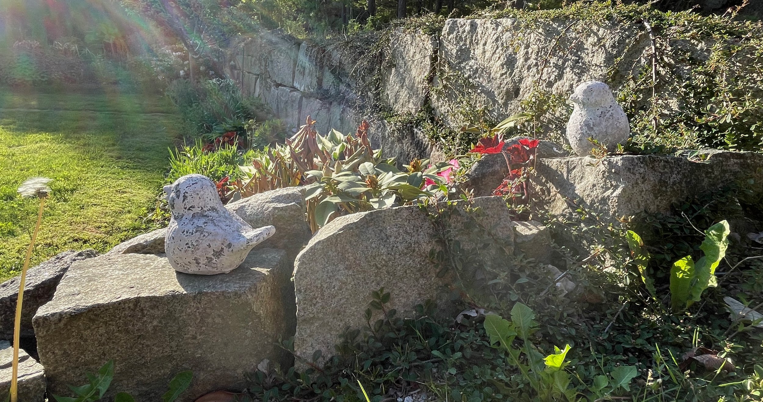 A garden scene with stones, plants, and two small bird sculptures among the rocks, with a stone wall in the background and sunlight filtering through trees.