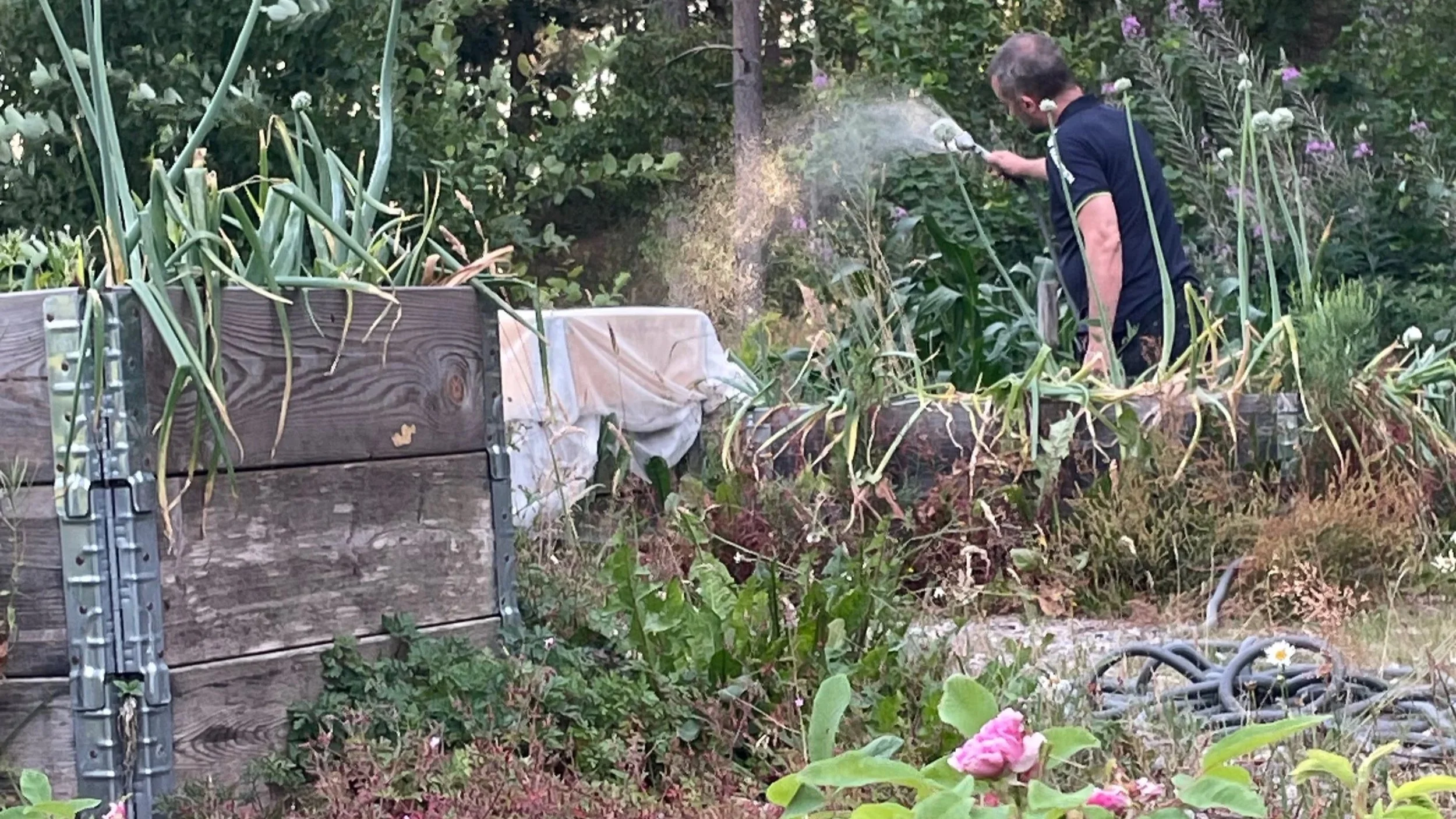 A man is watering plants in a garden with various greenery, flowers, and gardening equipment visible.