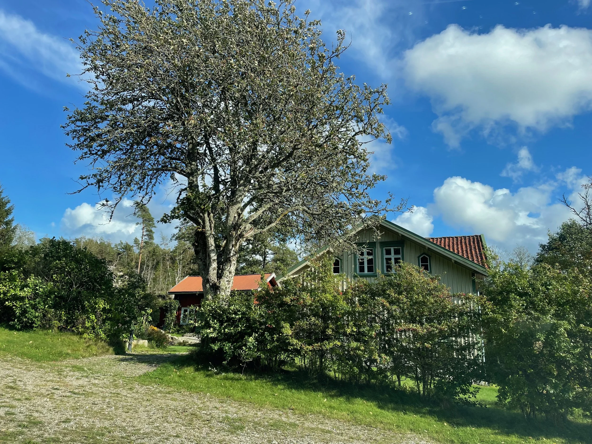 A sand colored house with a red tile roof surrounded by trees and bushes under a blue sky with clouds.