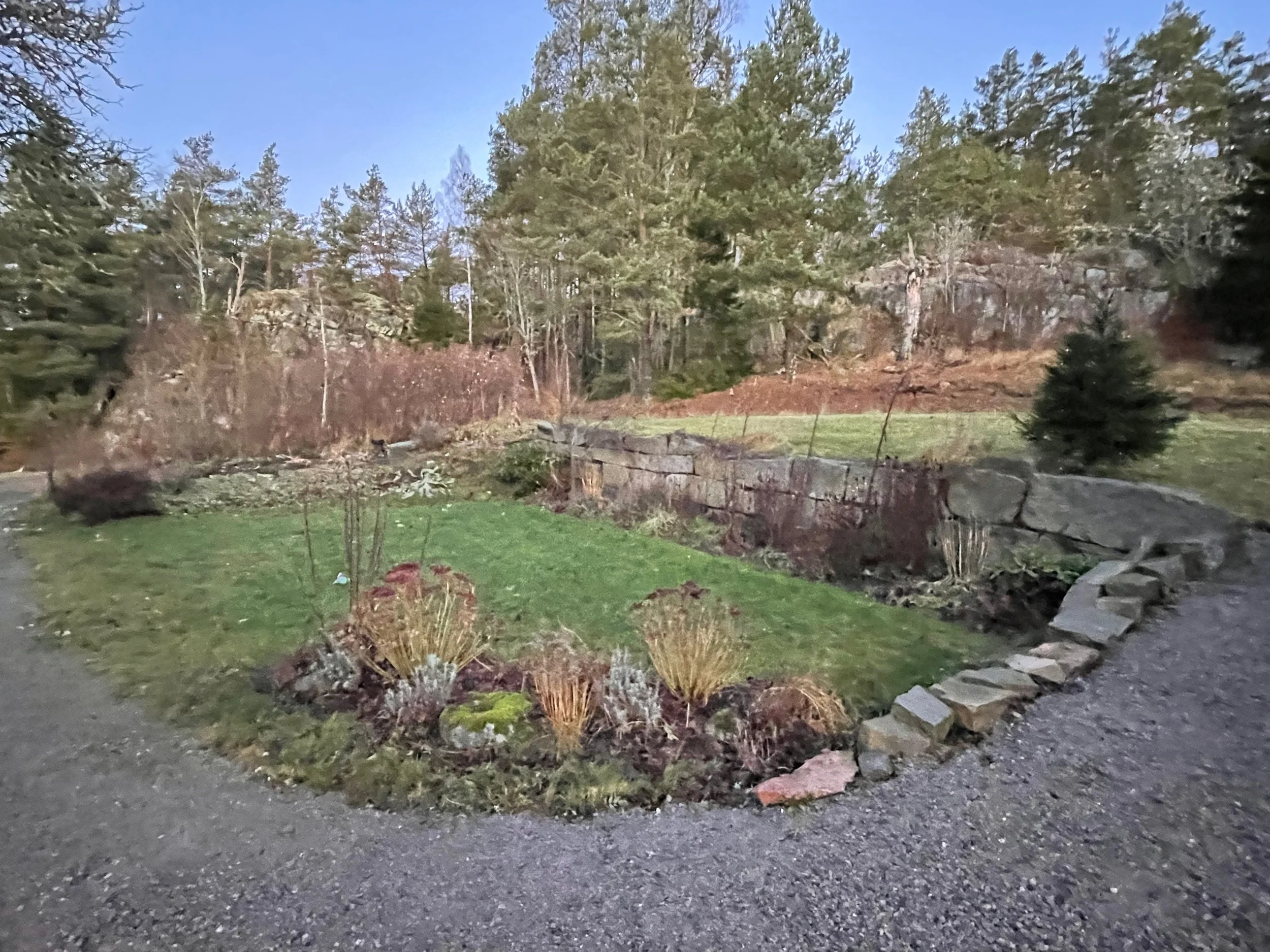 A backyard garden area with various plants, and a stone edging, surrounded by grass and trees under a clear blue sky.