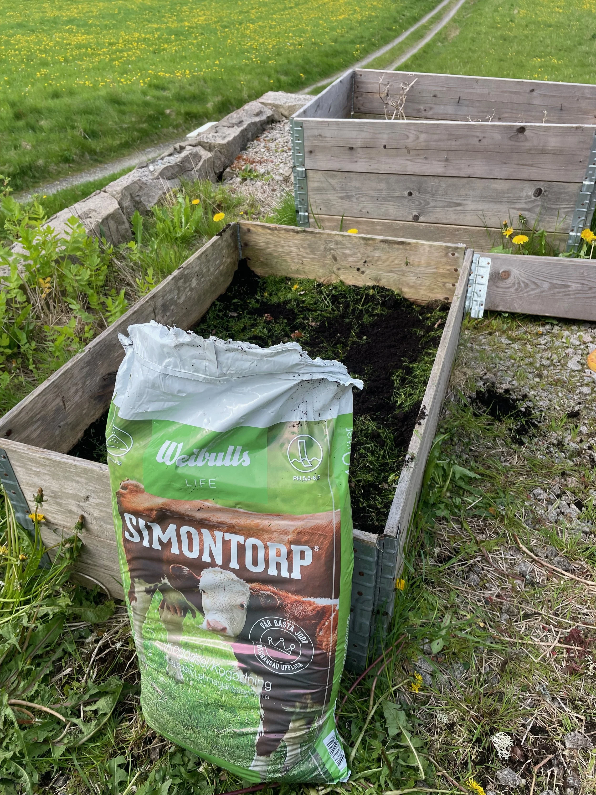 A garden bed with dark soil, surrounded by green grass and yellow dandelions, with a bag of soil or fertilizer leaning against it. There are also wooden and metal garden bed frames nearby, with some rocks and gravel along a path in the background.
