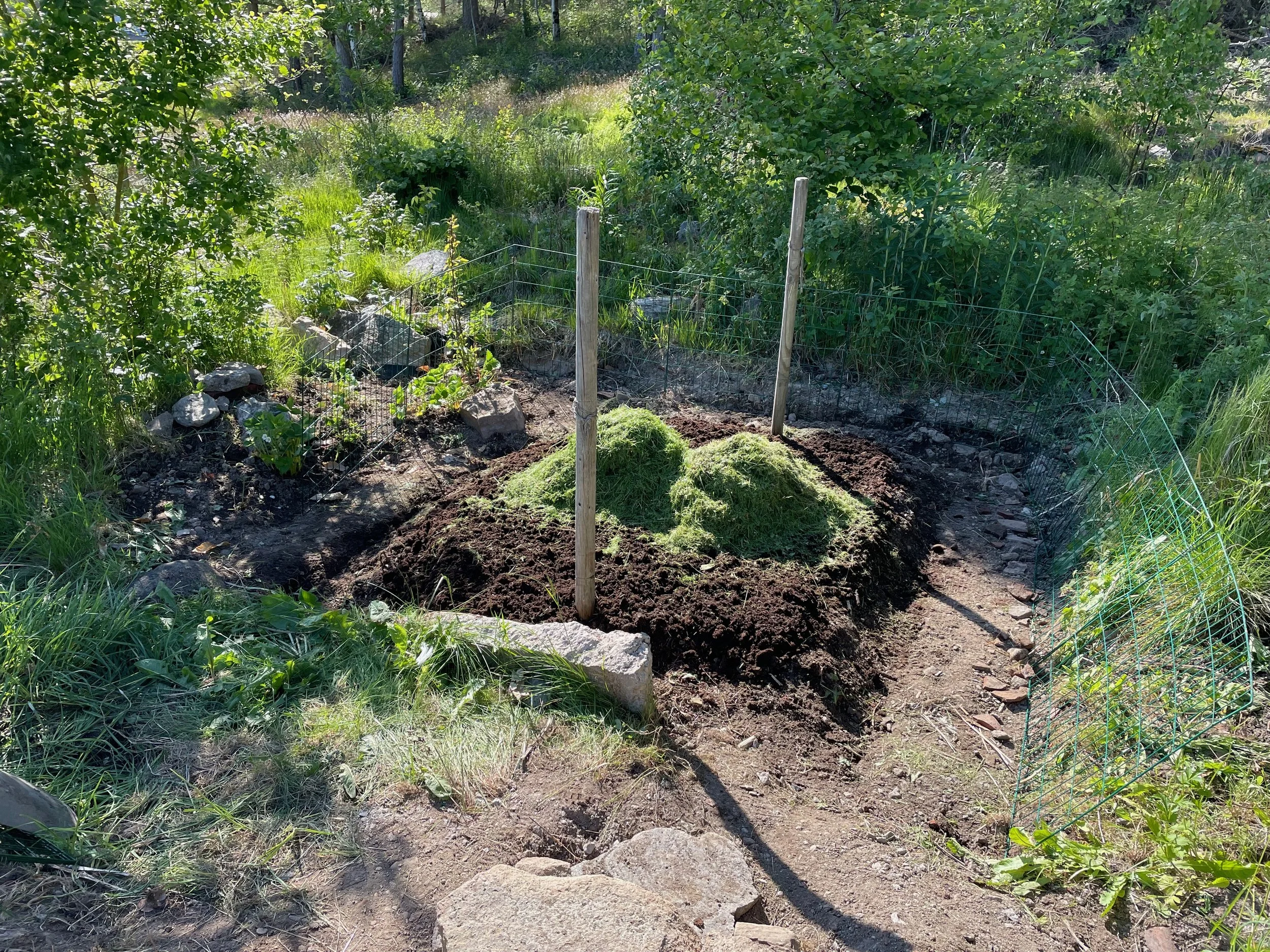 A small garden plot with freshly turned soil, surrounded by green plants and grass, with a metal wire fence supported by wooden stakes.