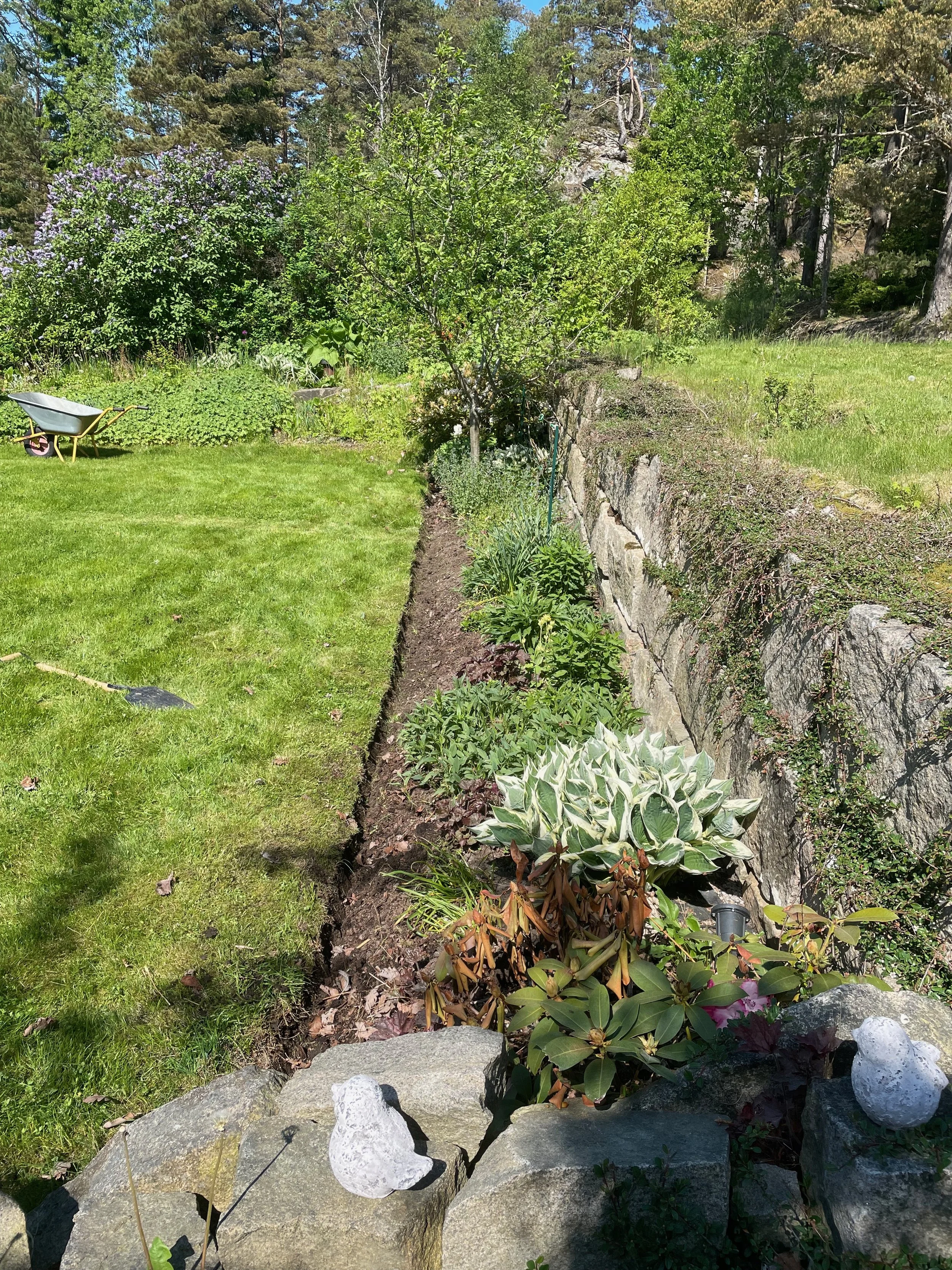 A sunny garden with a small tree, a flower bed, and a green lawn. There is a wheelbarrow on the grass and a stone border with some decorative rocks around it.