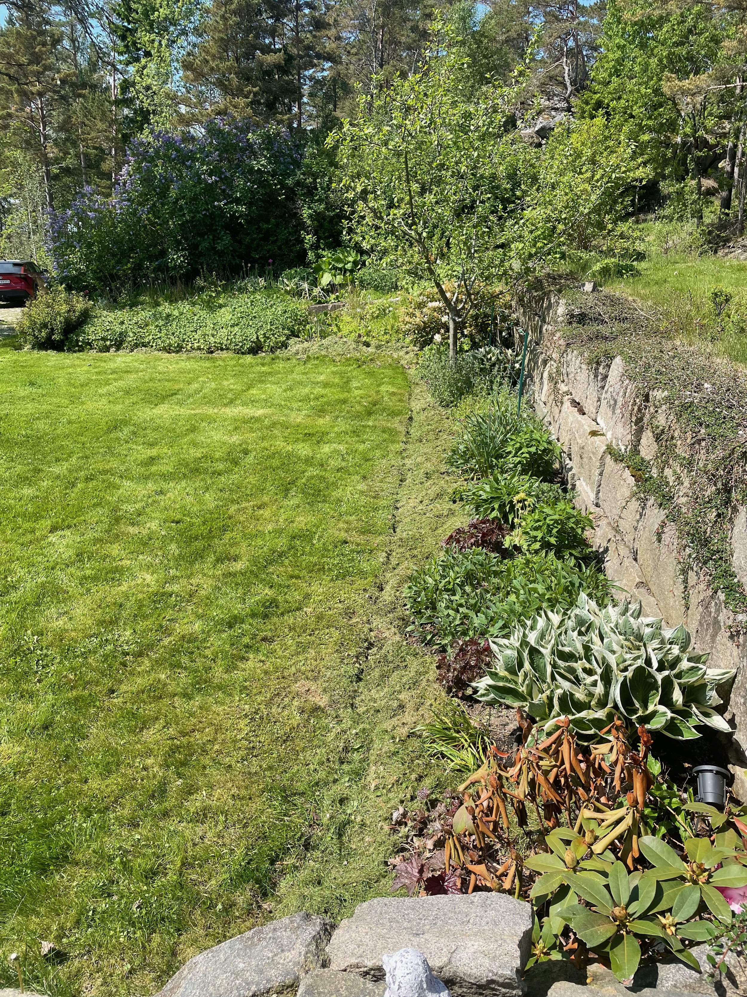 A neatly maintained garden with lush green grass, various bushes and plants, a stone border, and tall trees in the background on a sunny day.