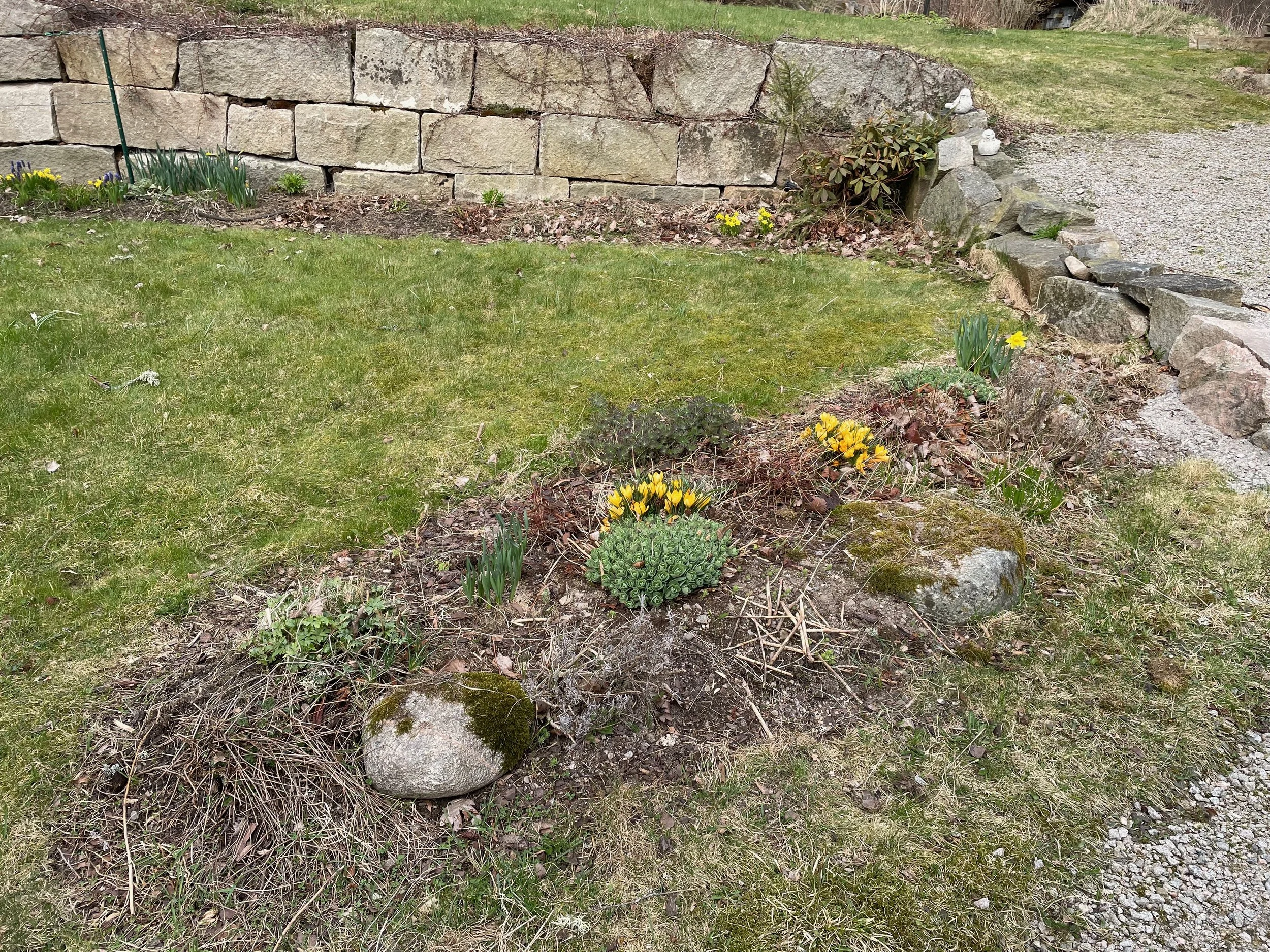A garden with a grassy lawn, small yellow flowers, some purple flowers, and a stone retaining wall lined with rocks, with some decorative garden ornaments and a bush near the rocks.