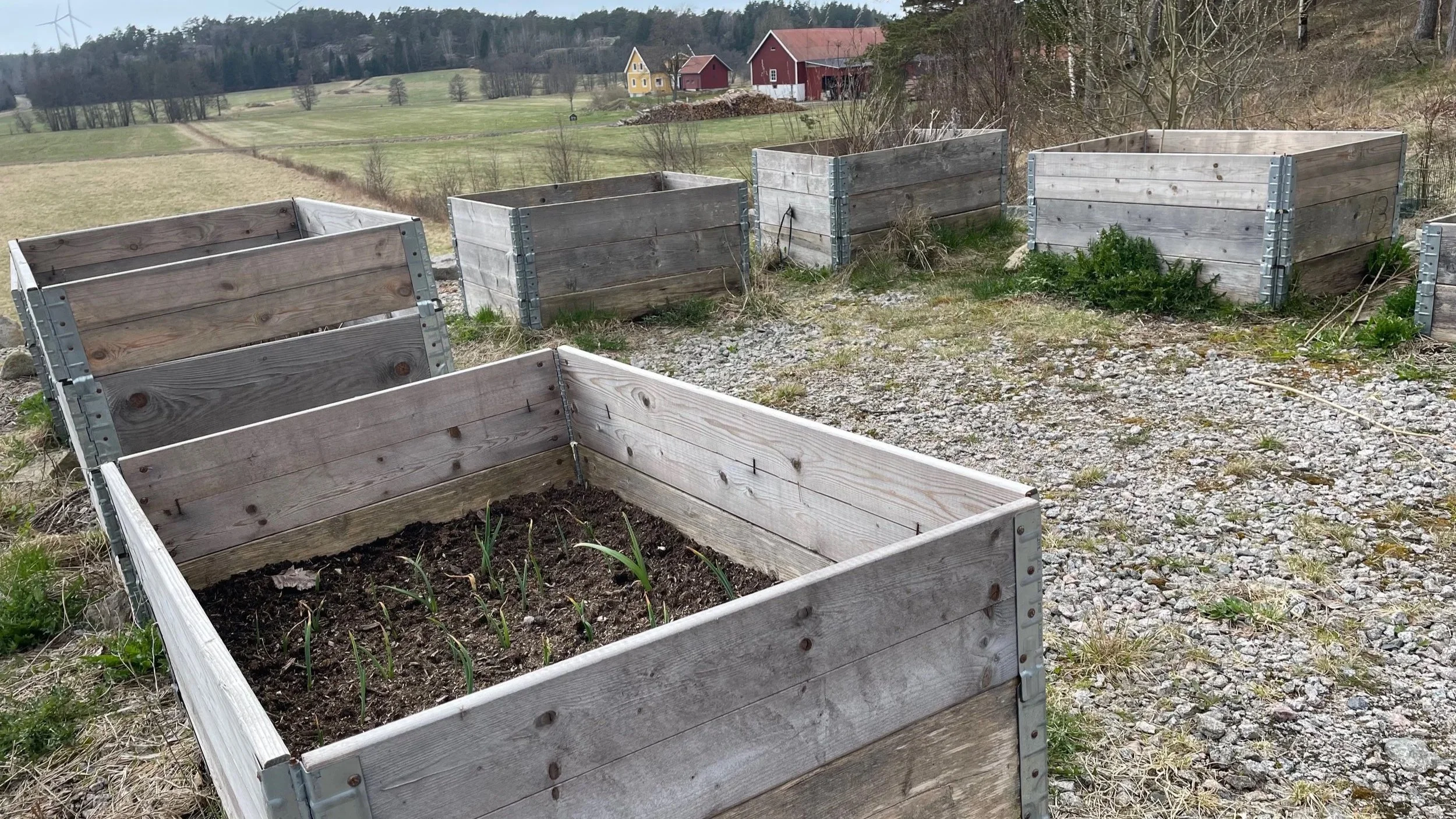 Four wooden garden planters on a gravel surface with some grass and weeds, set in a rural field with scattered trees, houses, and rolling hills in the background.