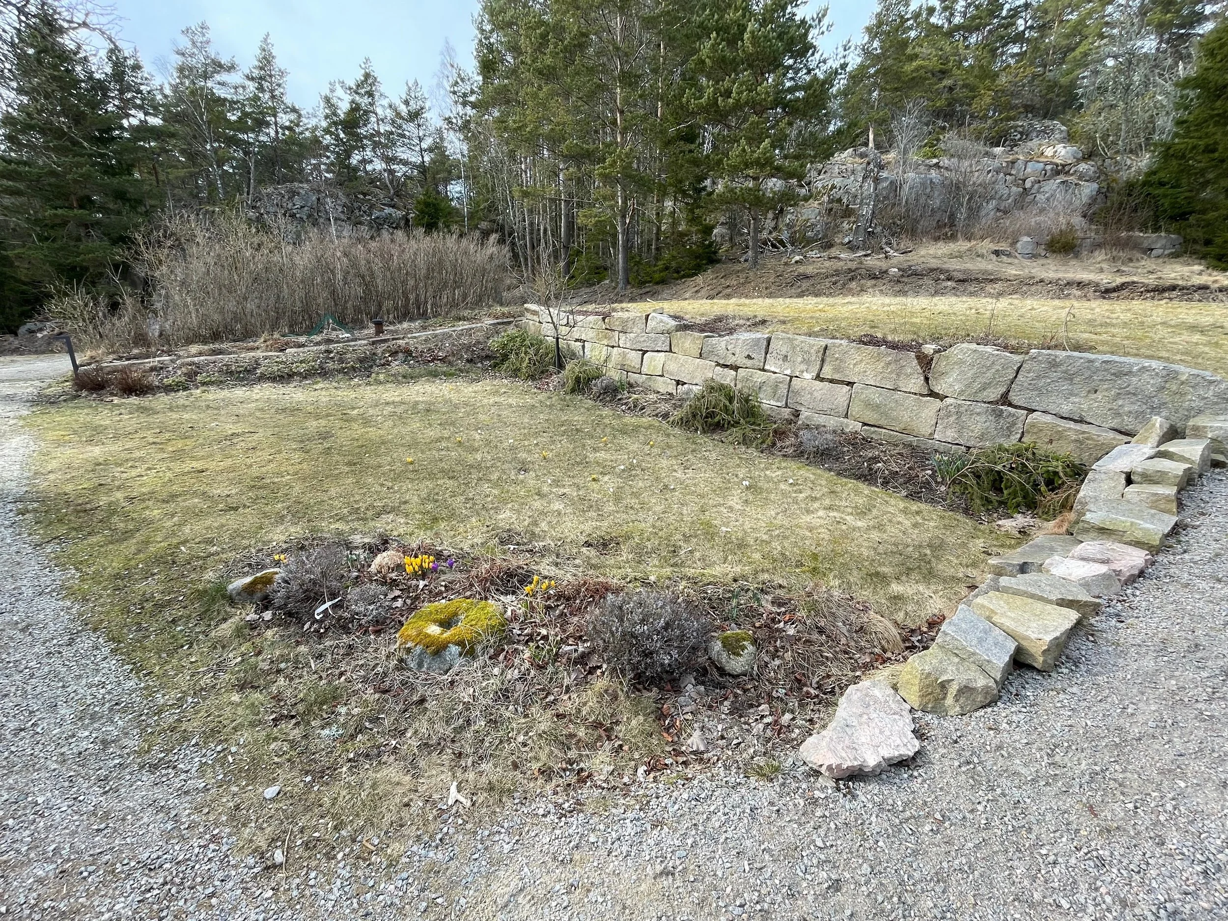 A landscaped yard with a grassy area, stone retaining wall, and gravel pathway, surrounded by tall trees and rocks.