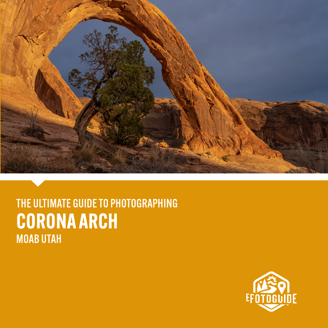 EFG CORONA ARCH TILE.png