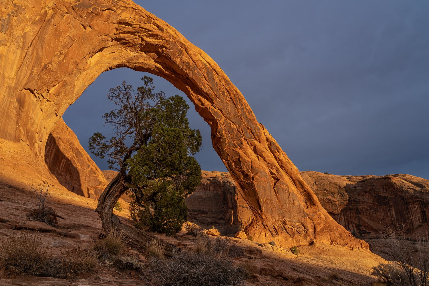 Sunset Light Falling on Corona Arch Below Stormy Sky-2.jpg