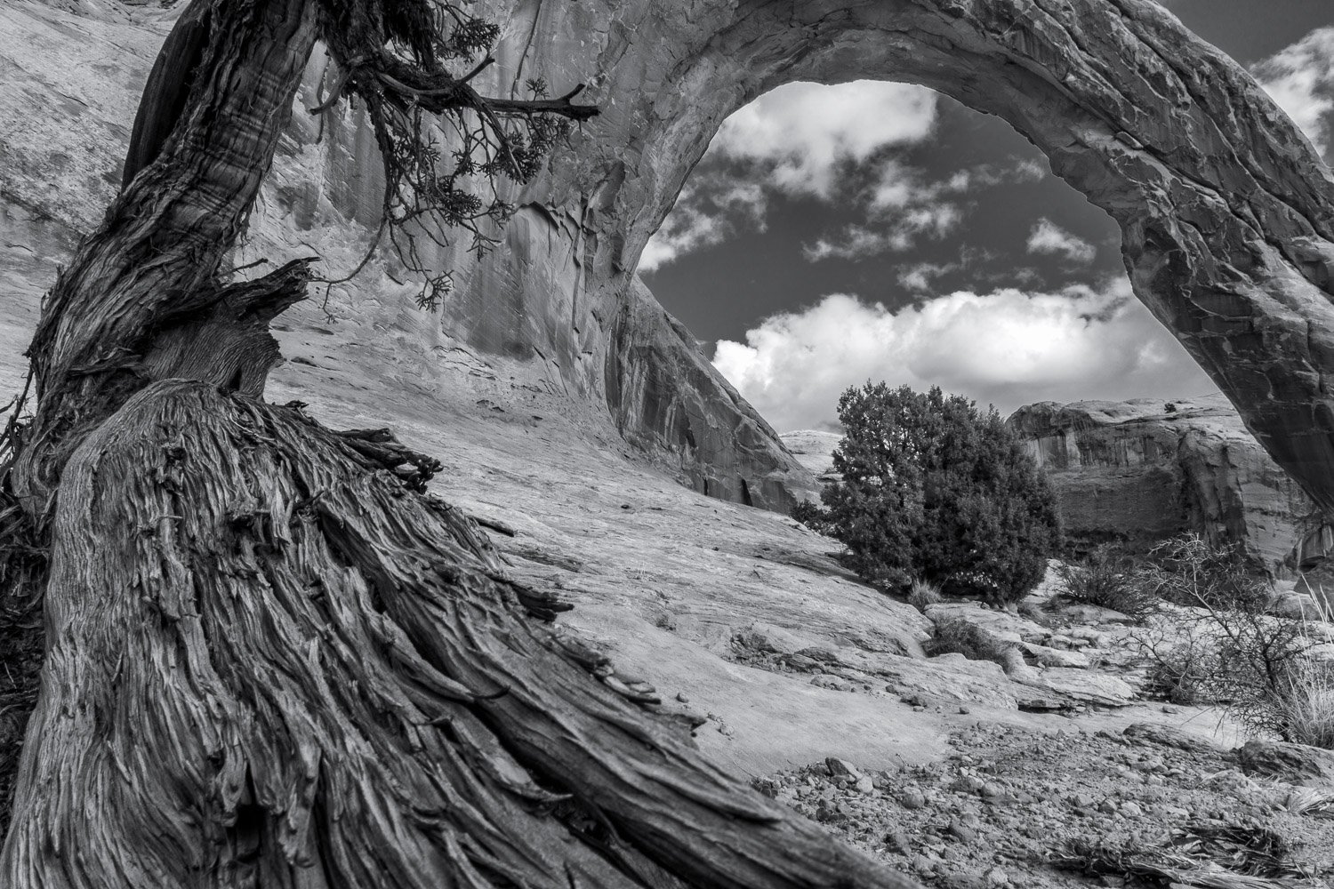 corona arch 0219-10-Edit-2.jpg
