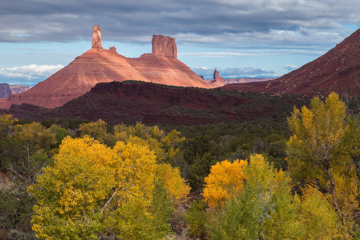 Cottonwood Trees in Fall Below Castleton Tower-2.jpg